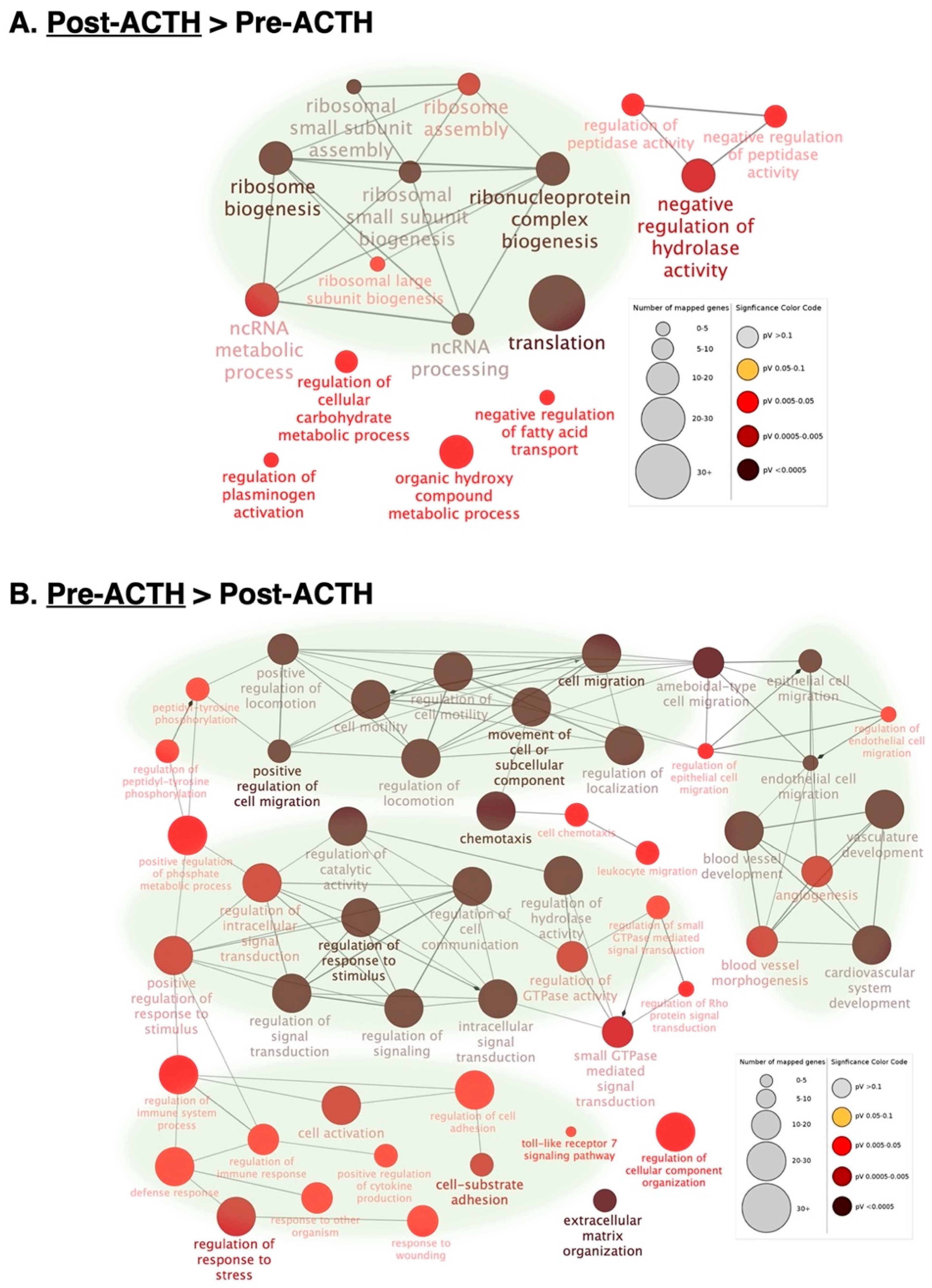 Vetsci 09 00250 g003