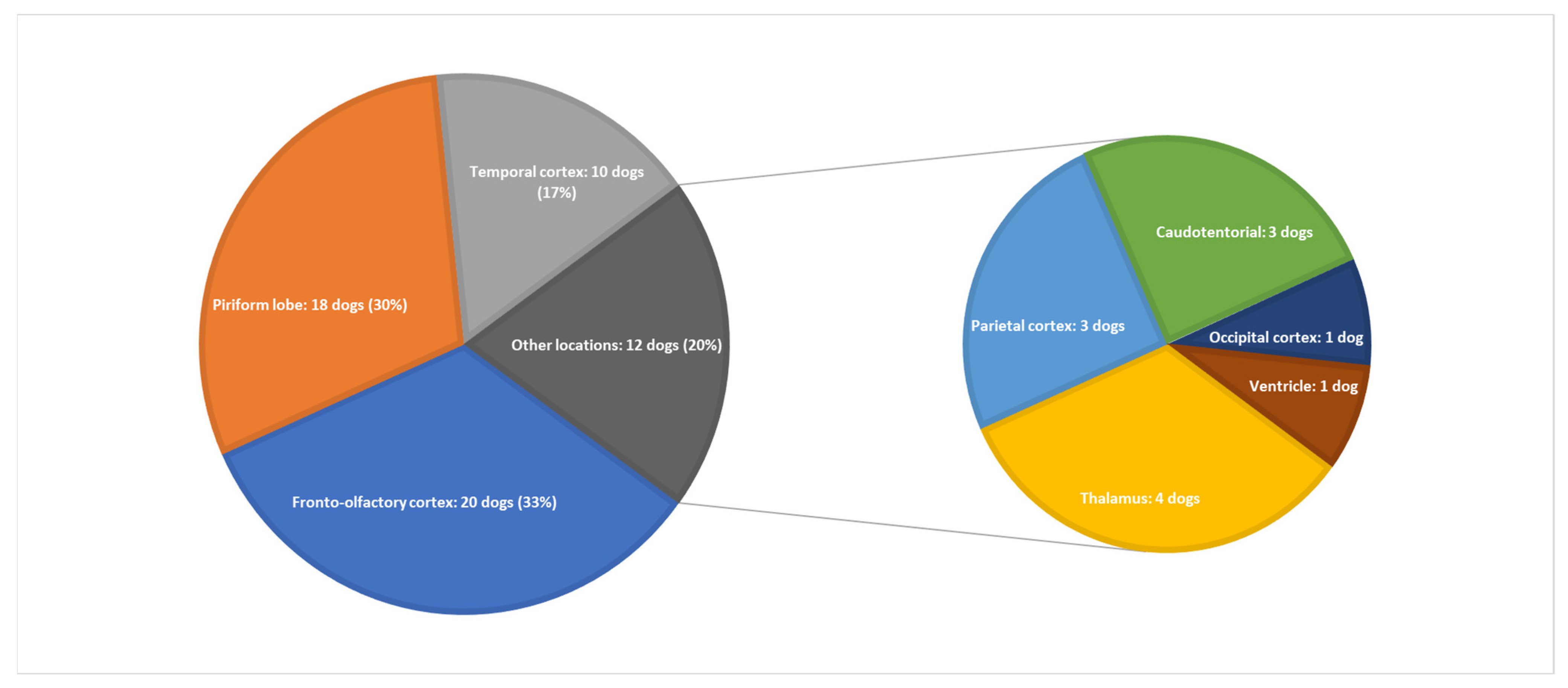Vetsci 09 00257 g001