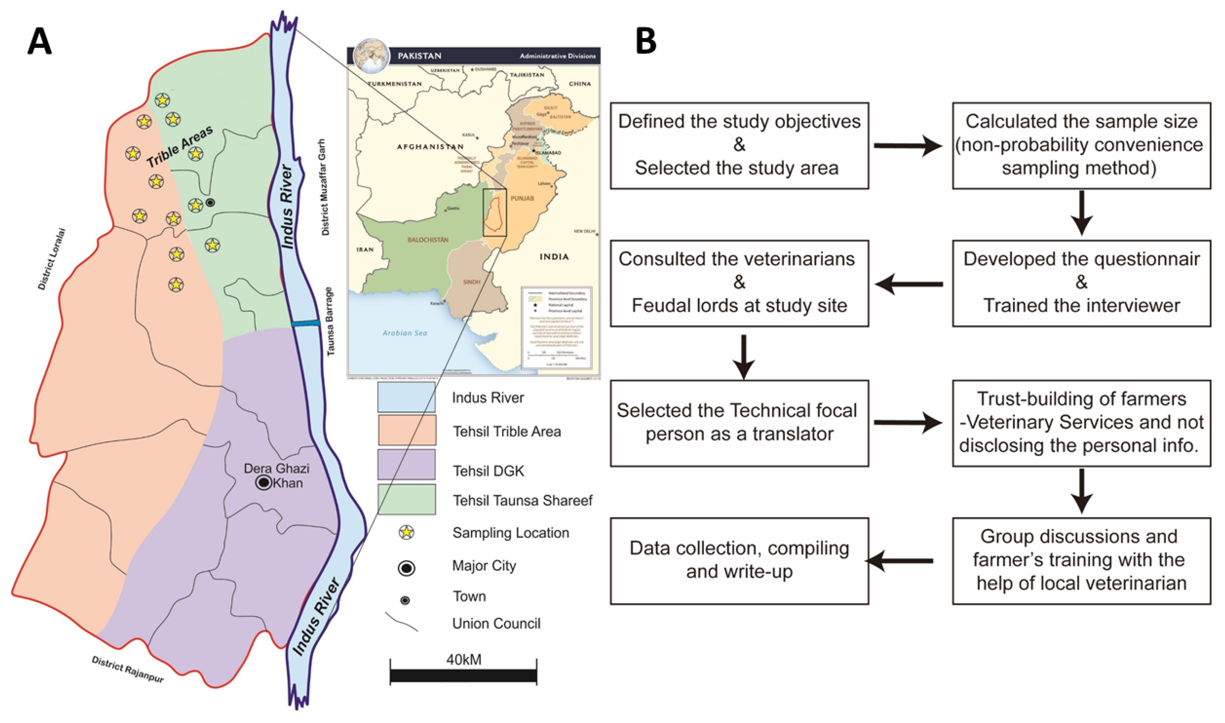 Vetsci 09 00279 g001