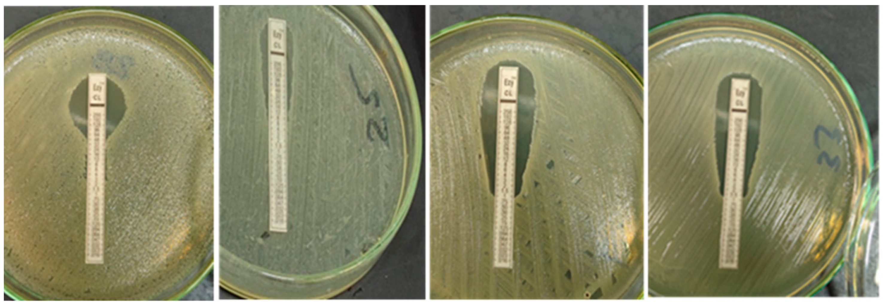 Vetsci 09 00282 g002