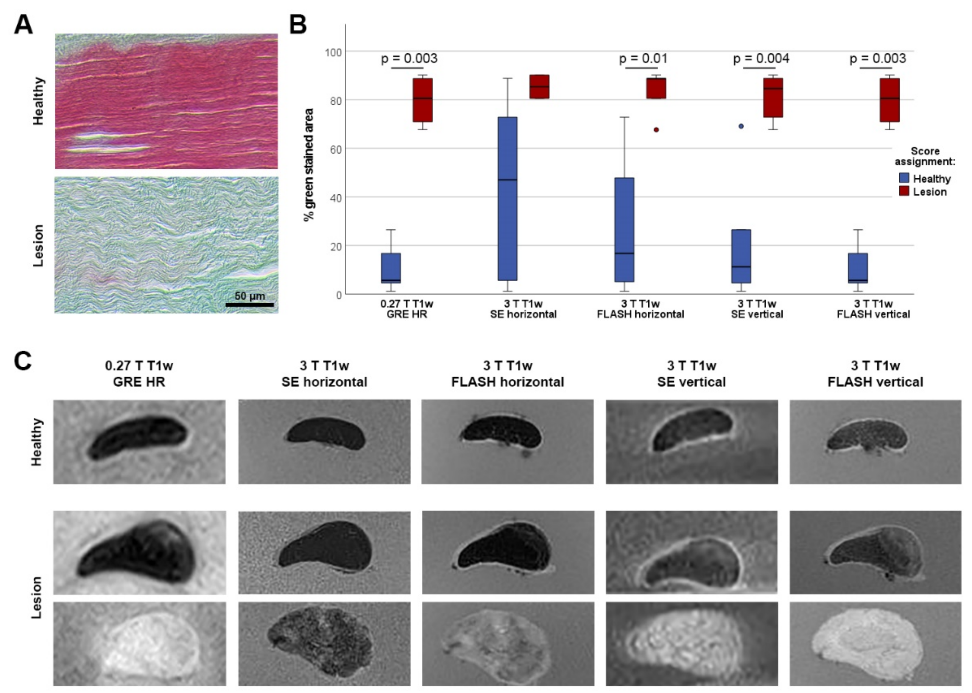 Vetsci 09 00297 g001
