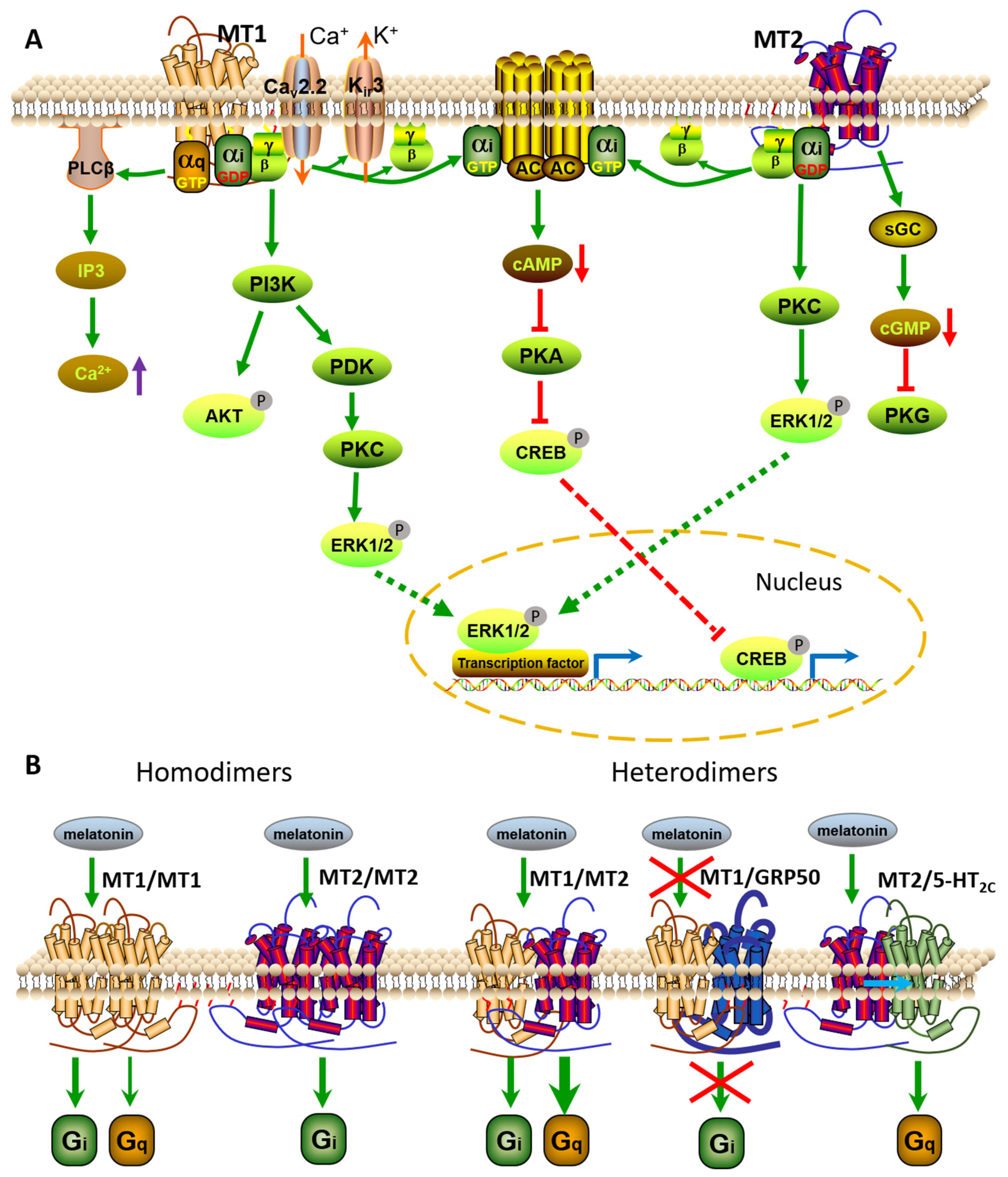 Vetsci 09 00309 g002 Vetsci 09 00309 g002