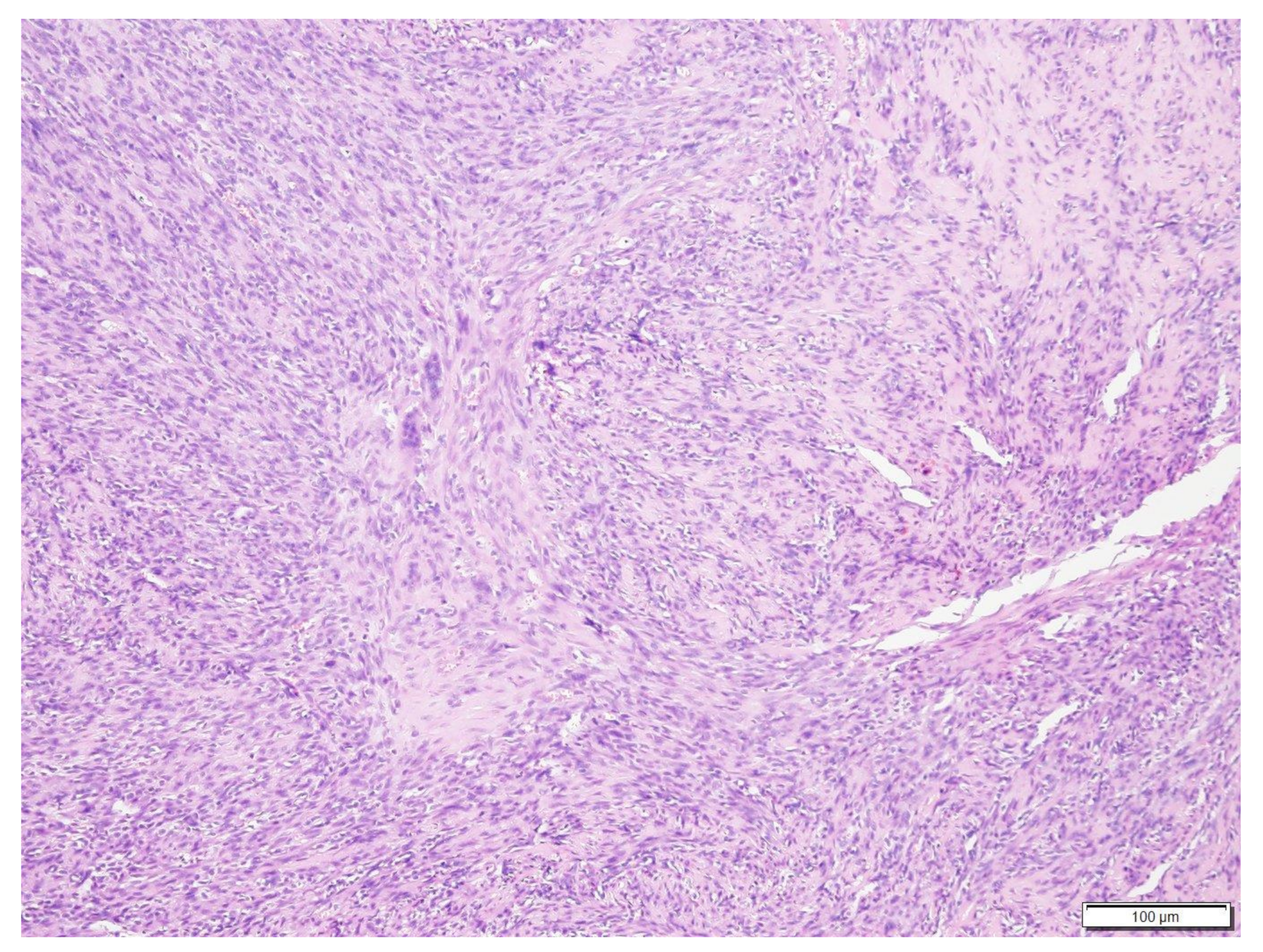 Vetsci 09 00315 g006