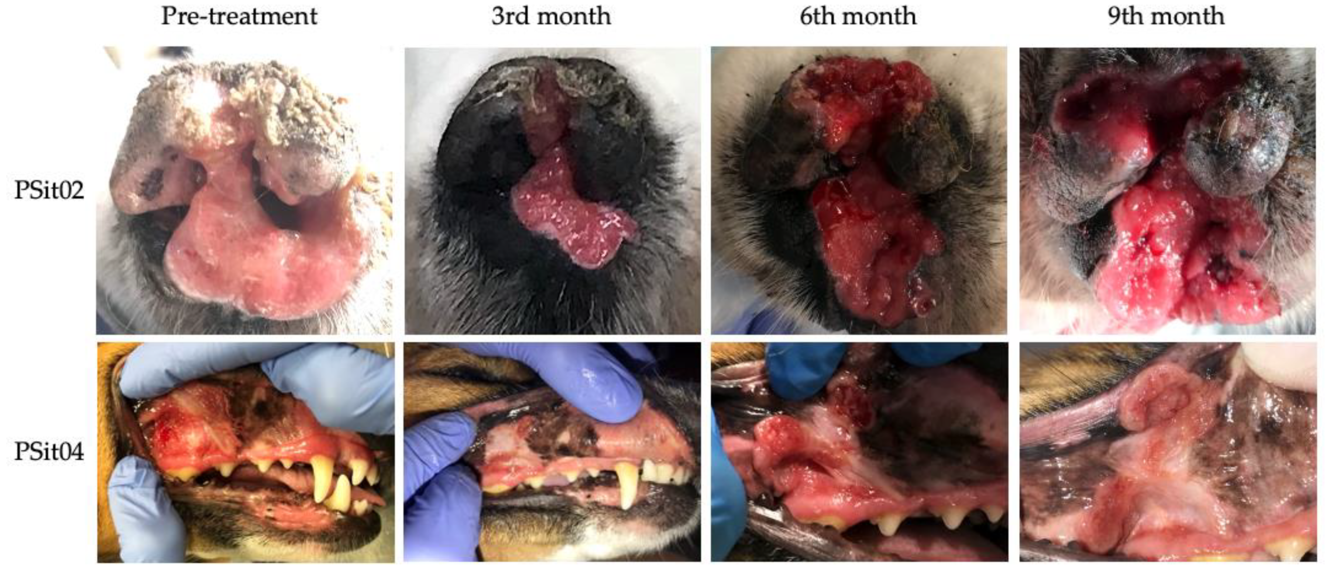 Vetsci 09 00327 g003