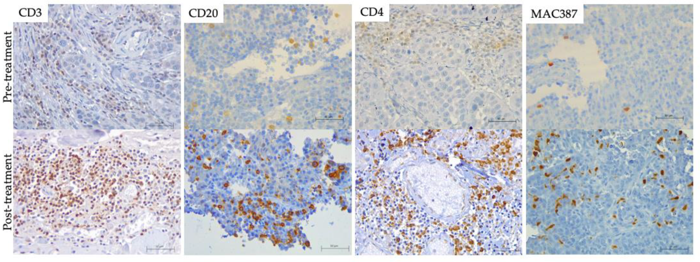 Vetsci 09 00327 g005