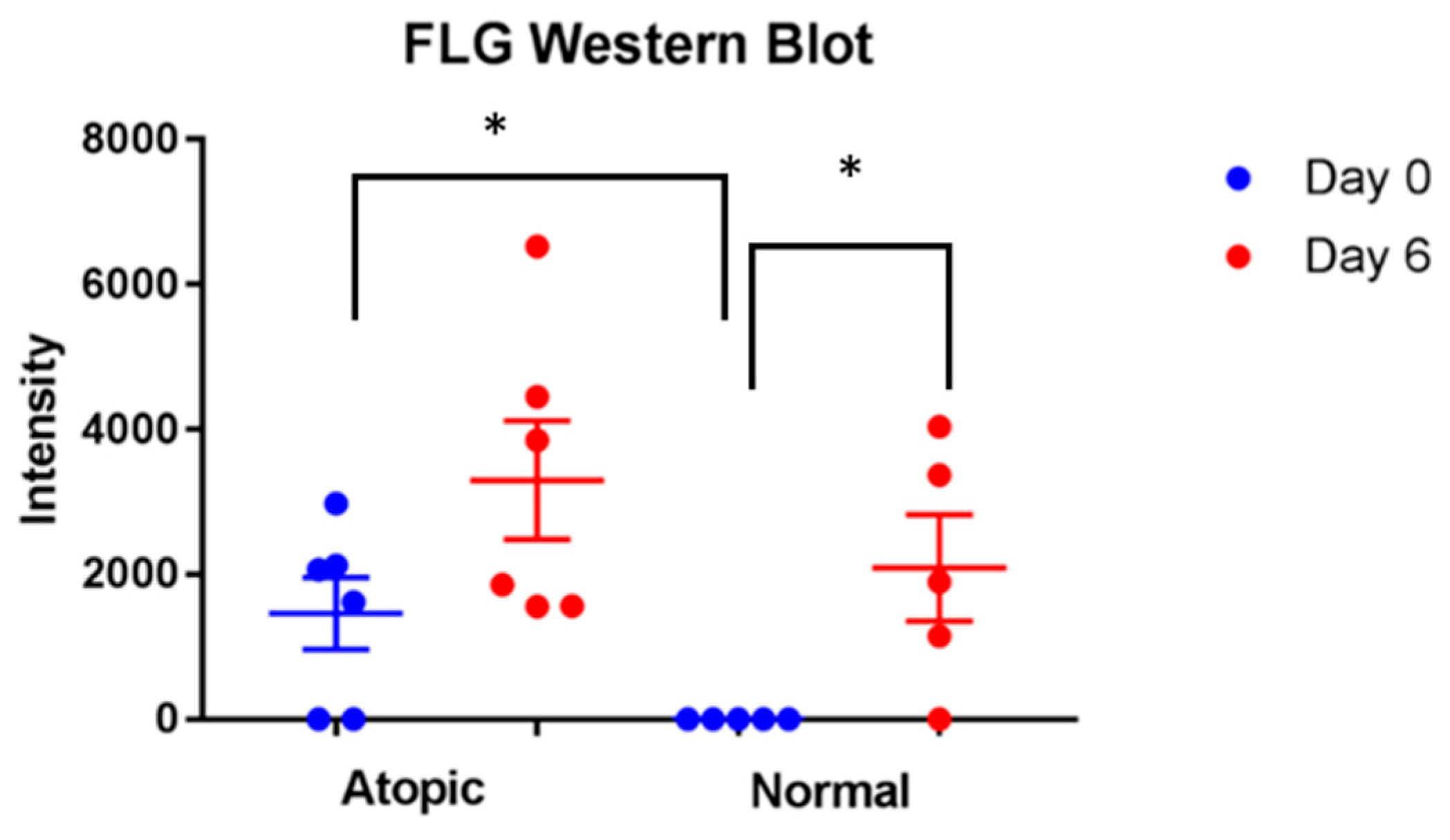 Vetsci 09 00329 g008 Vetsci 09 00329 g008