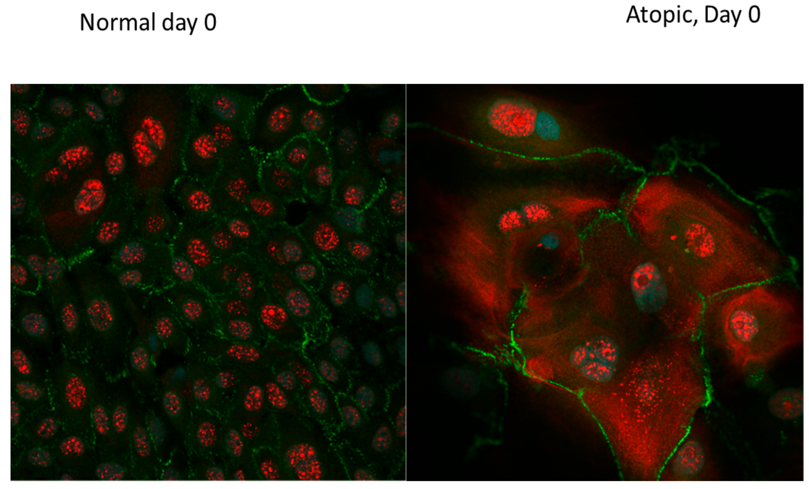 Vetsci 09 00329 g011 Vetsci 09 00329 g011