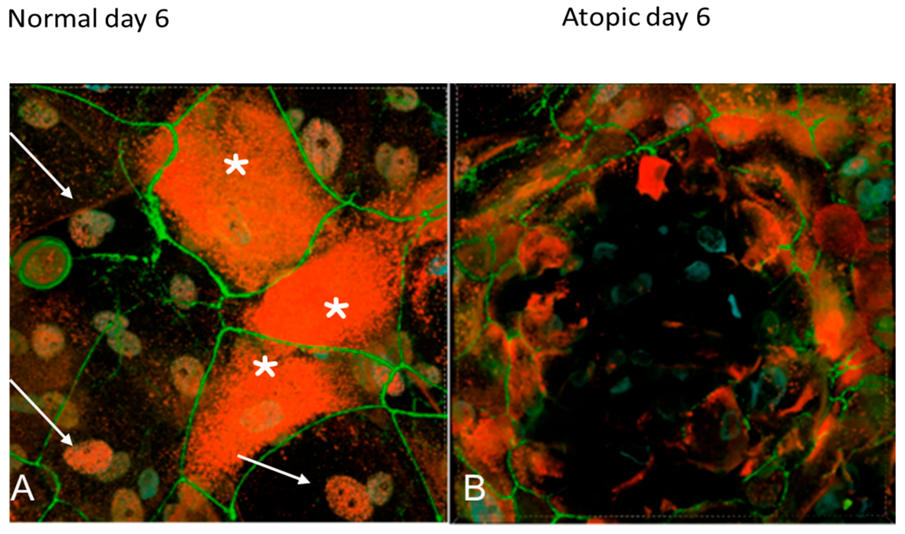 Vetsci 09 00329 g012 Vetsci 09 00329 g012