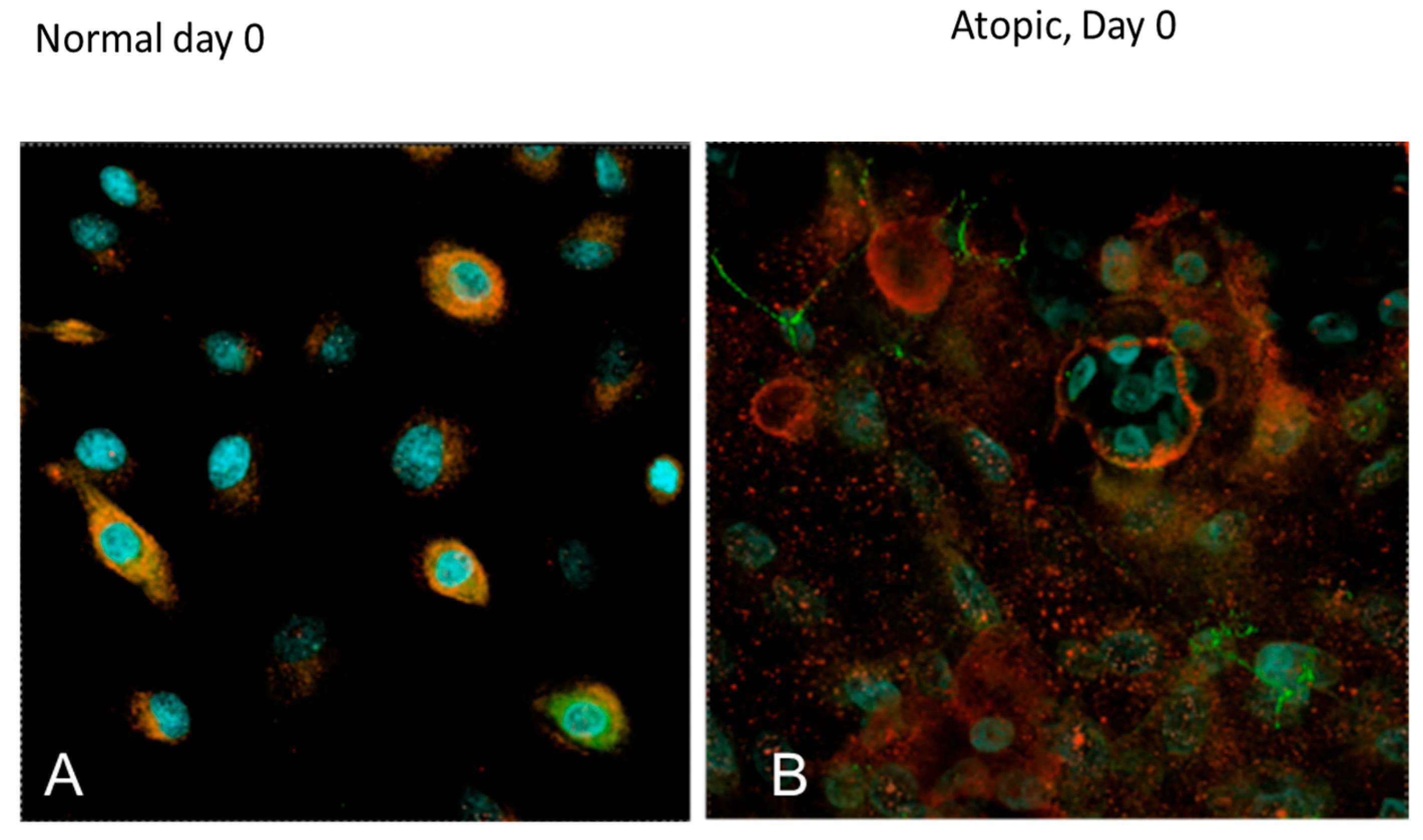 Vetsci 09 00329 g013 Vetsci 09 00329 g013
