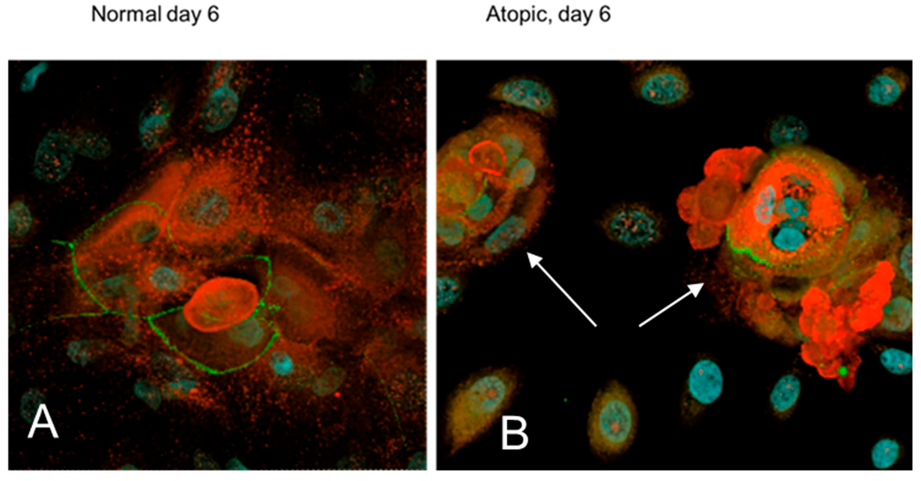 Vetsci 09 00329 g014 Vetsci 09 00329 g014