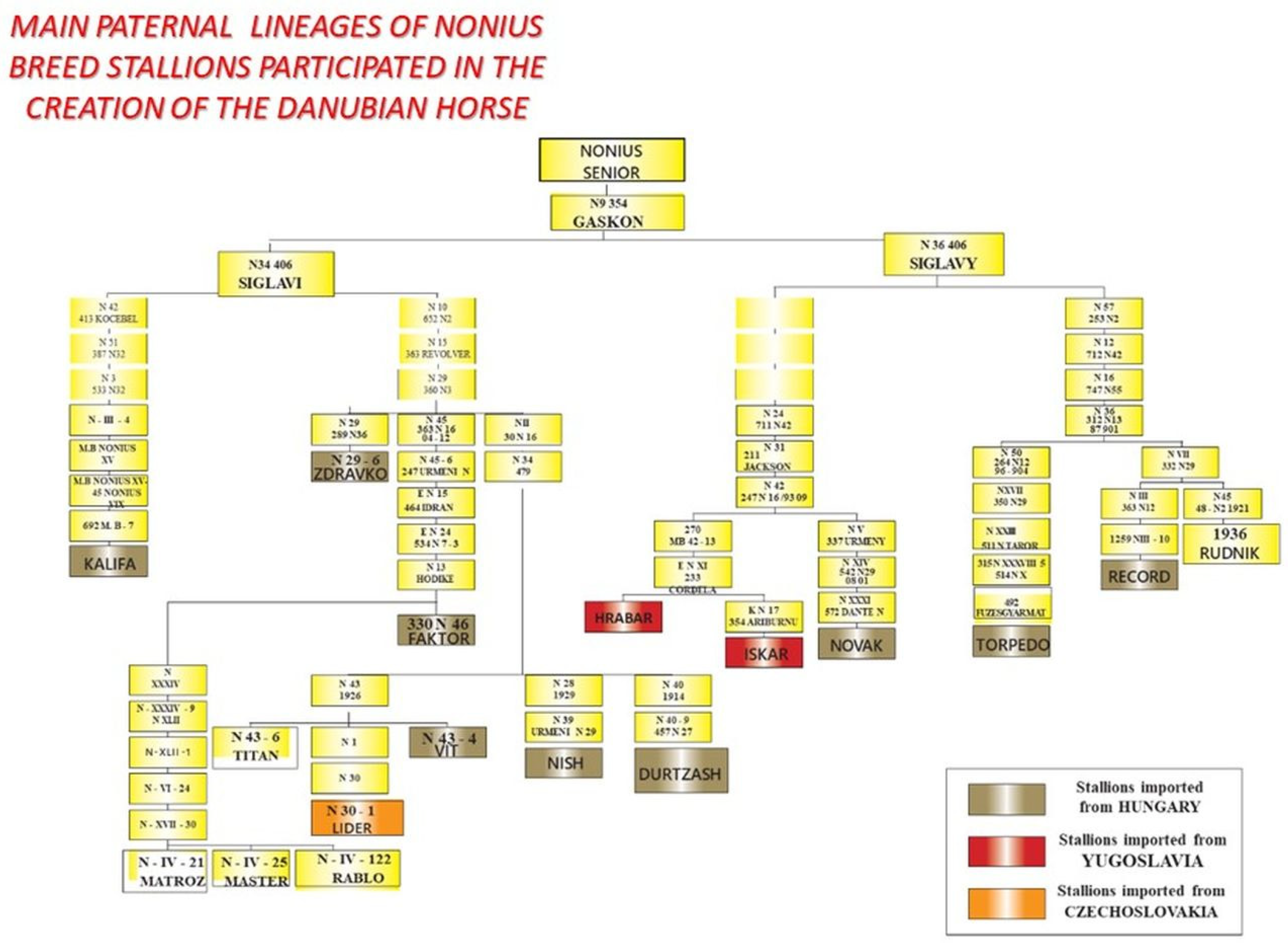 Vetsci 09 00333 g002