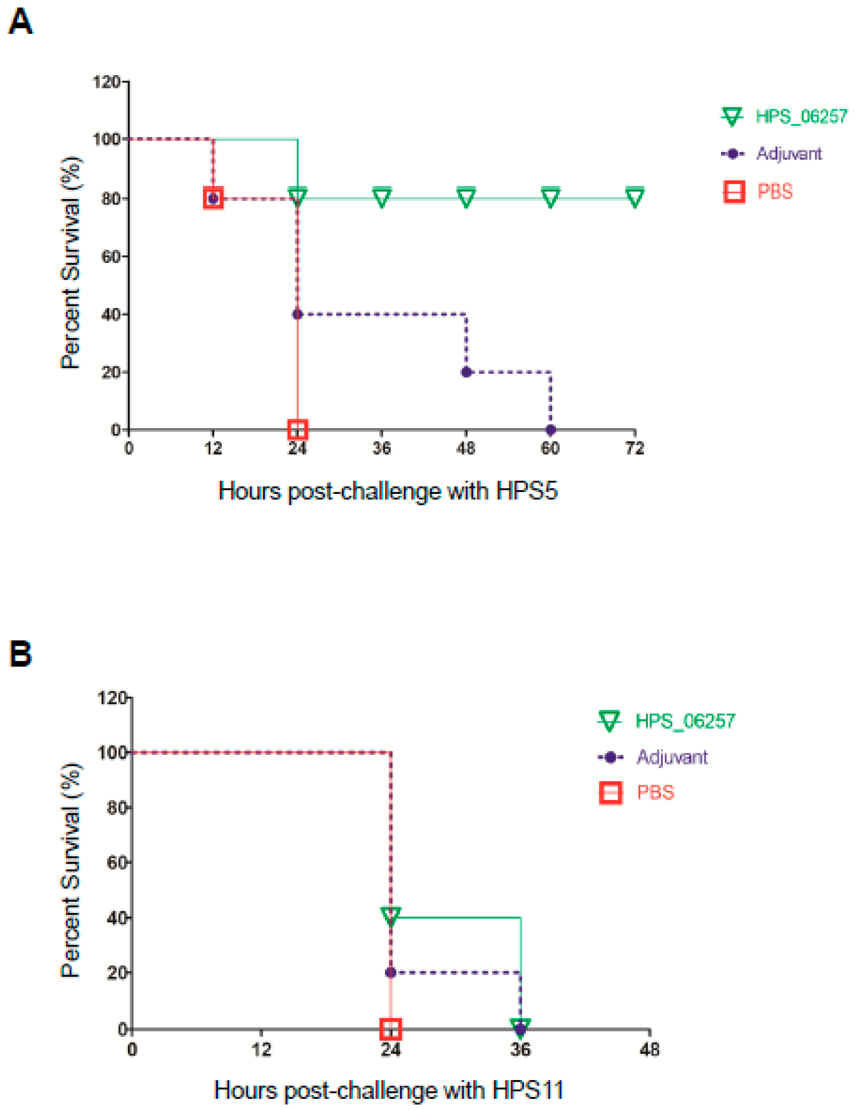 Vetsci 09 00342 g003