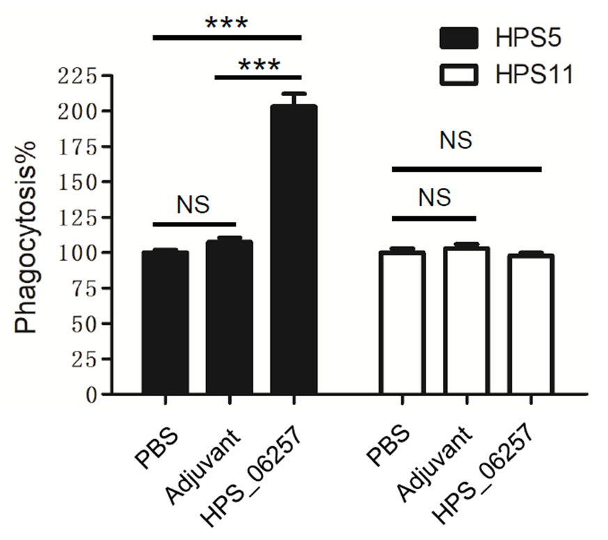 Vetsci 09 00342 g004