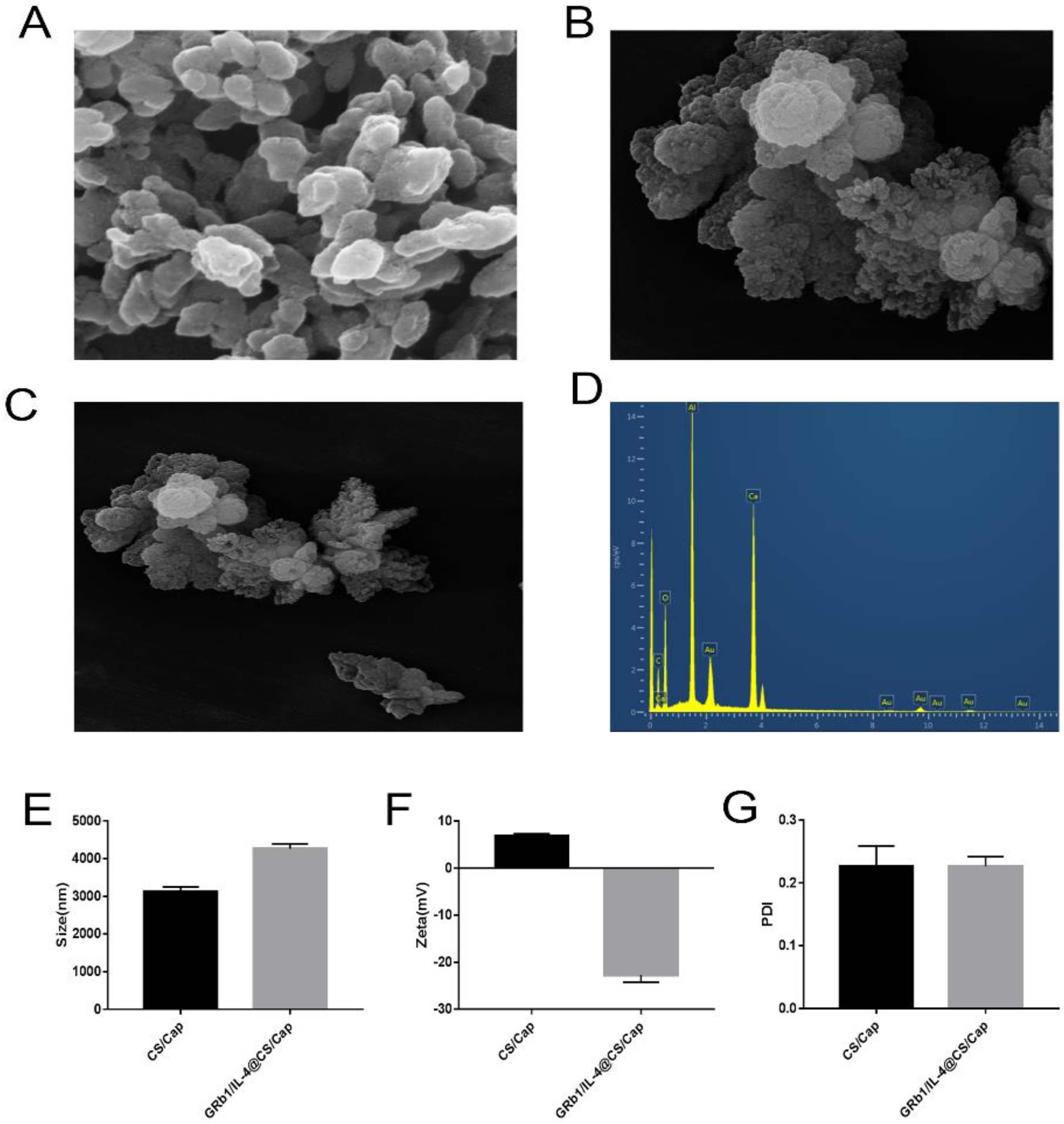 Vetsci 09 00355 g001