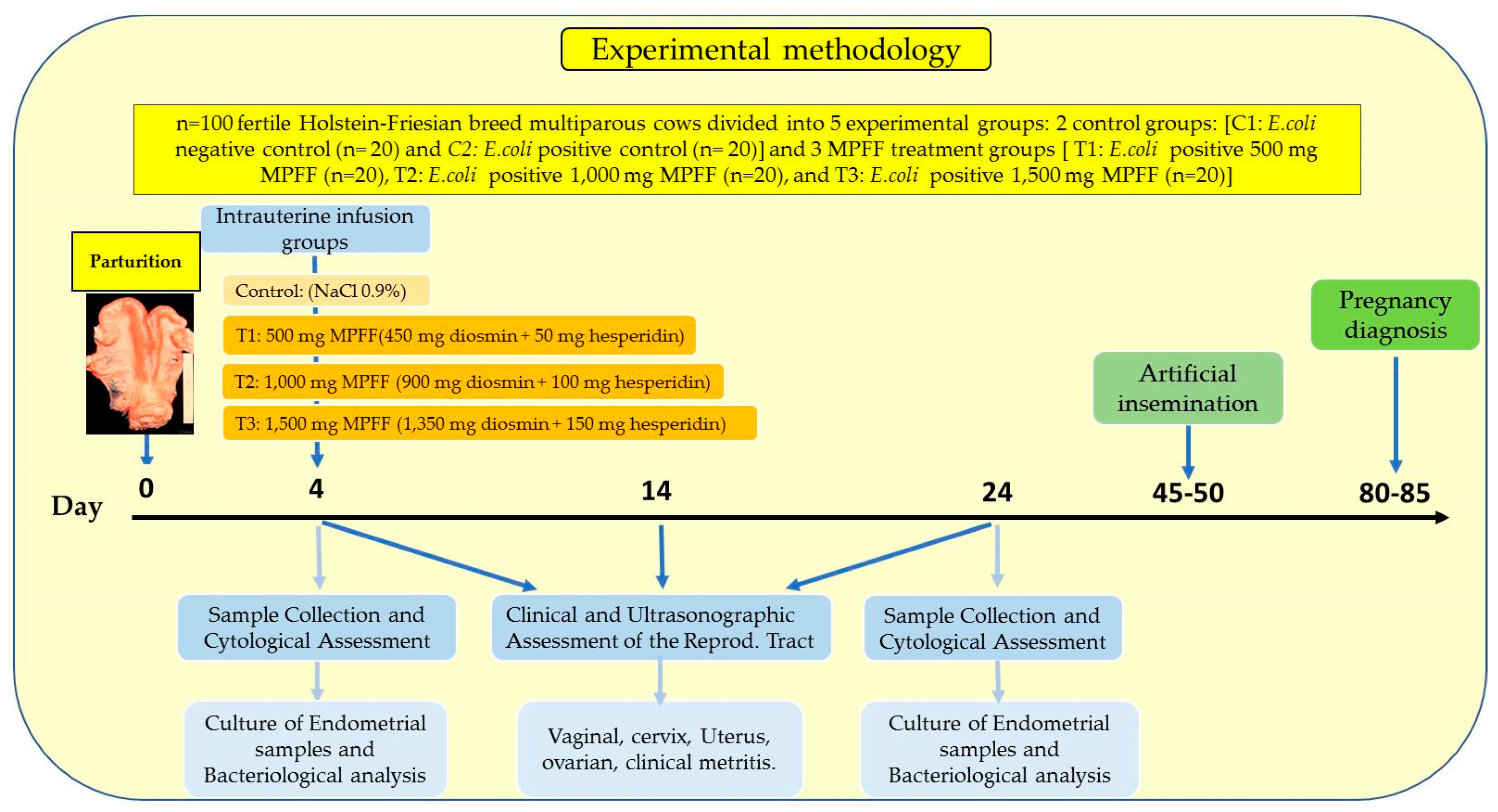 Vetsci 09 00362 g001 Vetsci 09 00362 g001