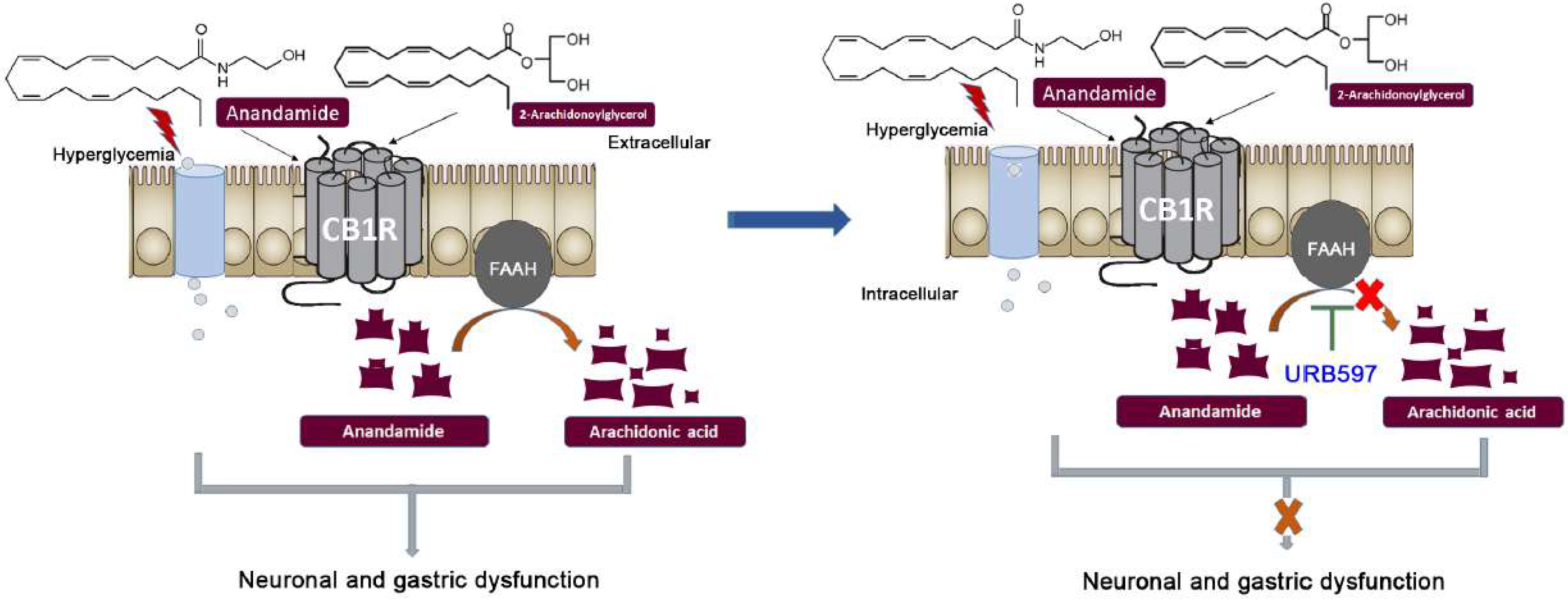 Vetsci 09 00364 g003