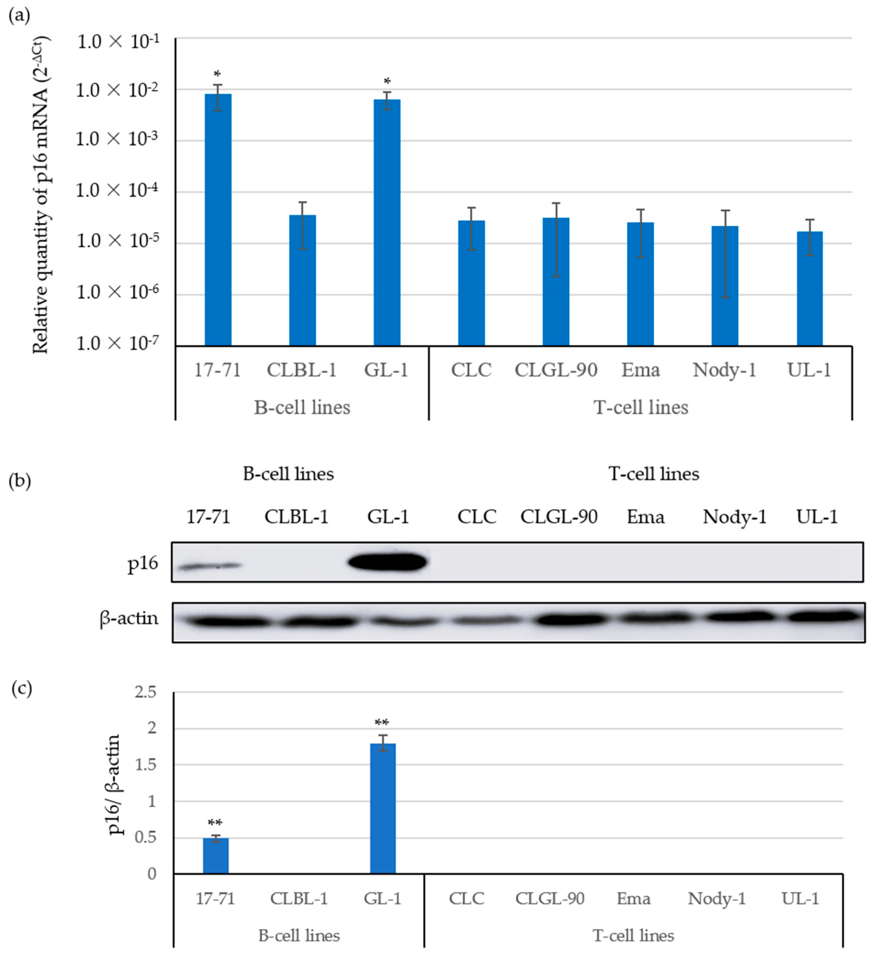 Vetsci 09 00393 g001