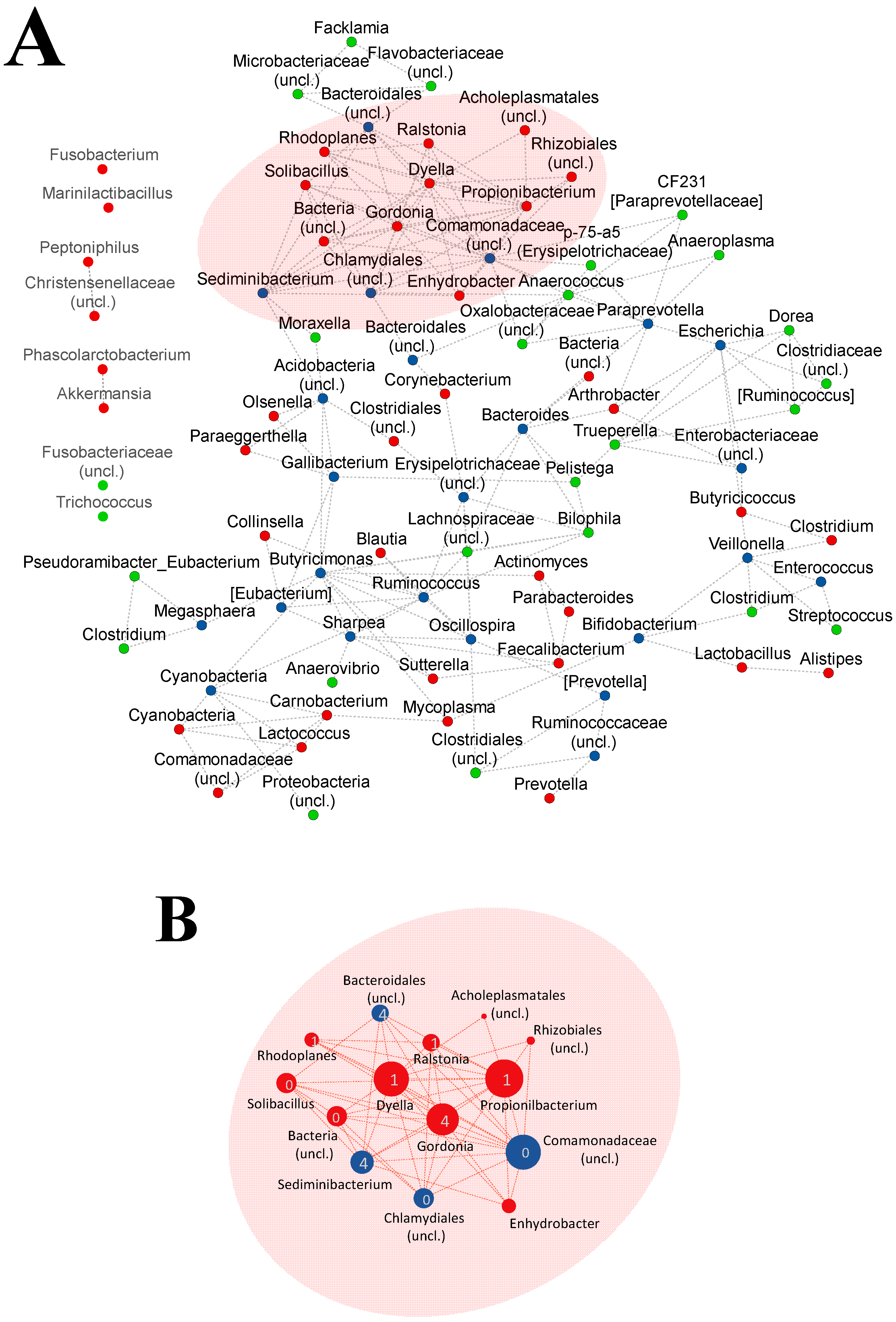 Vetsci 09 00463 g005