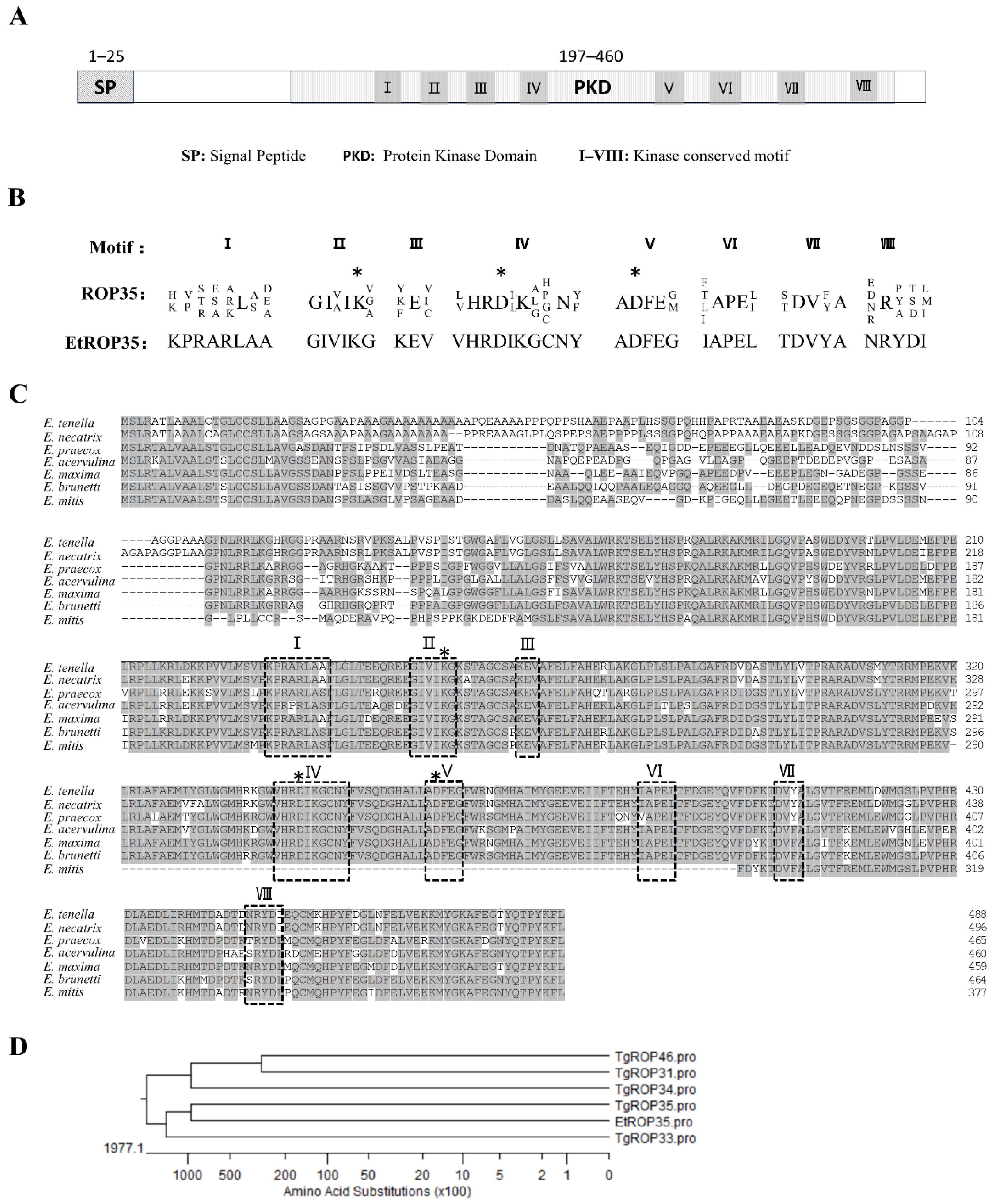 Vetsci 09 00465 g001
