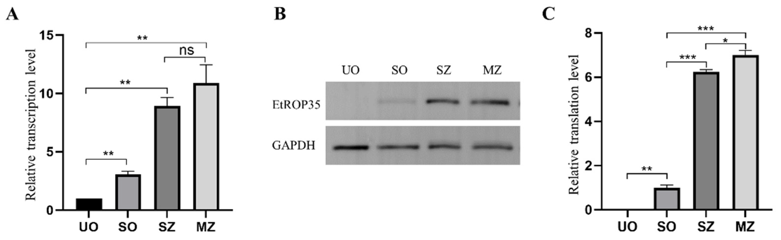 Vetsci 09 00465 g003
