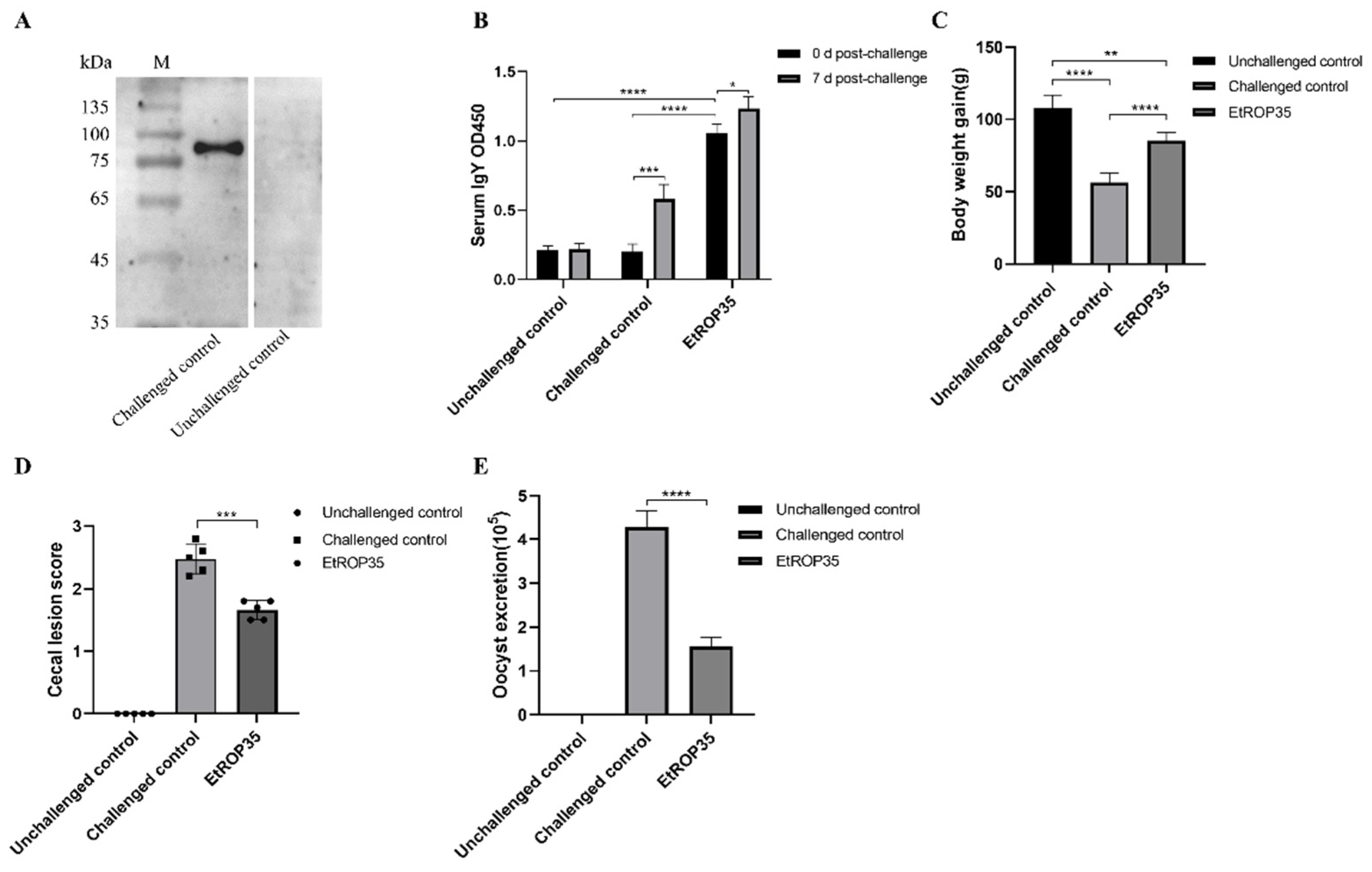 Vetsci 09 00465 g005