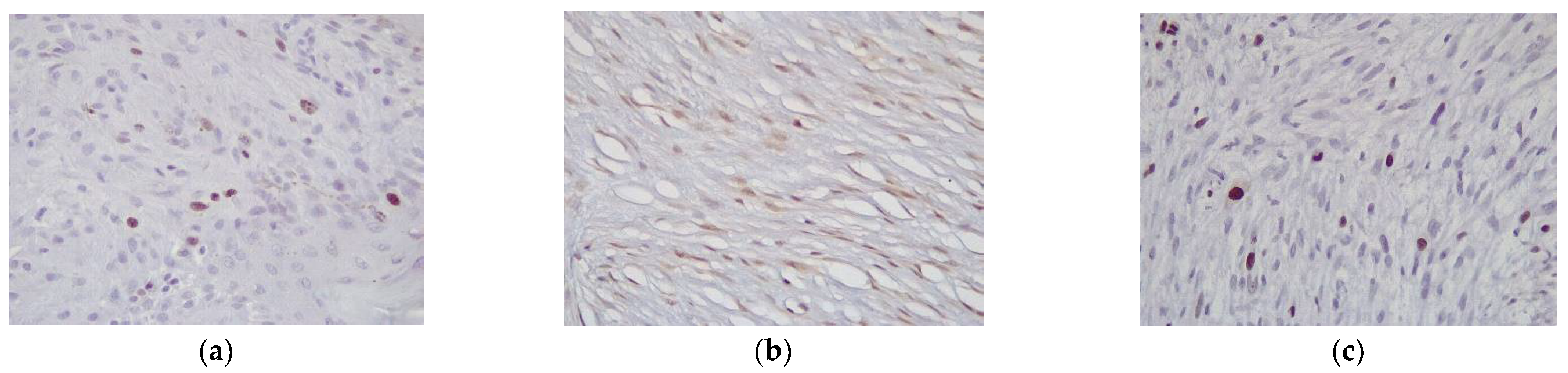 Vetsci 09 00474 g002