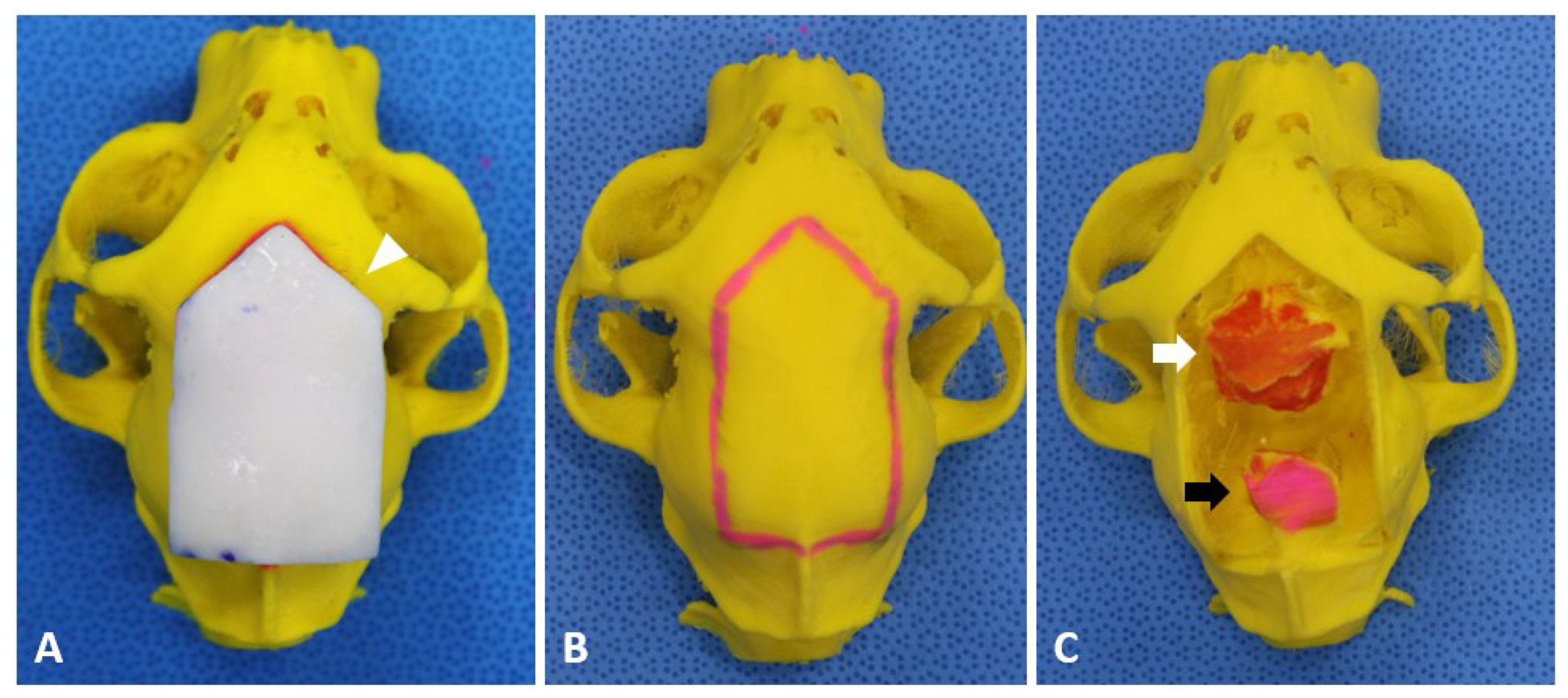 Vetsci 09 00512 g002