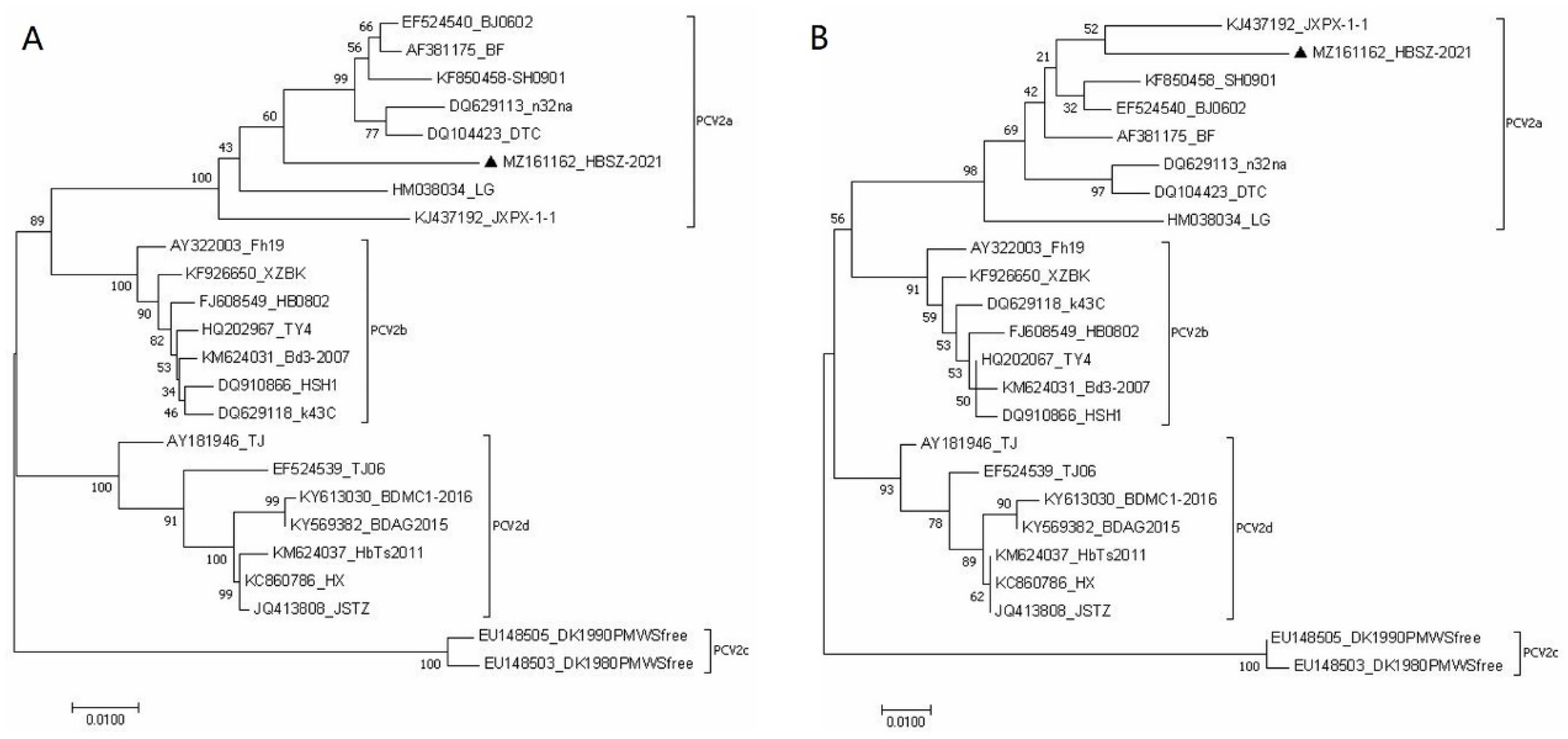 Vetsci 09 00528 g003 Vetsci 09 00528 g003
