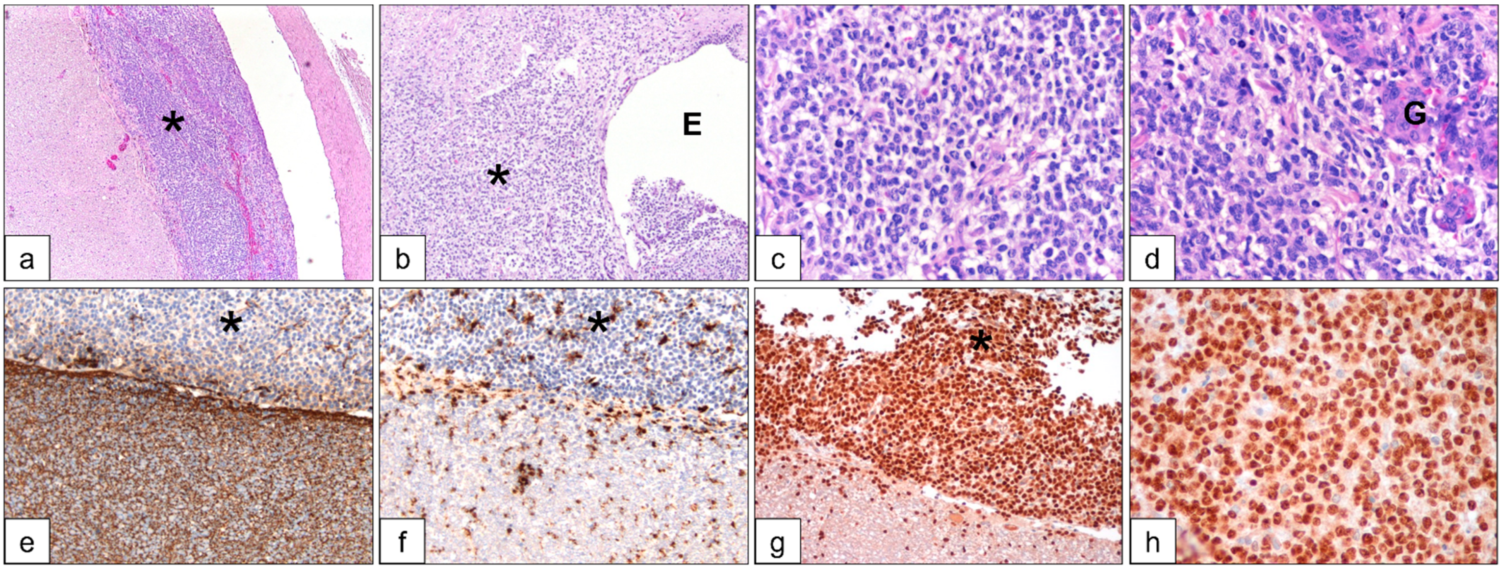 Vetsci 09 00541 g002
