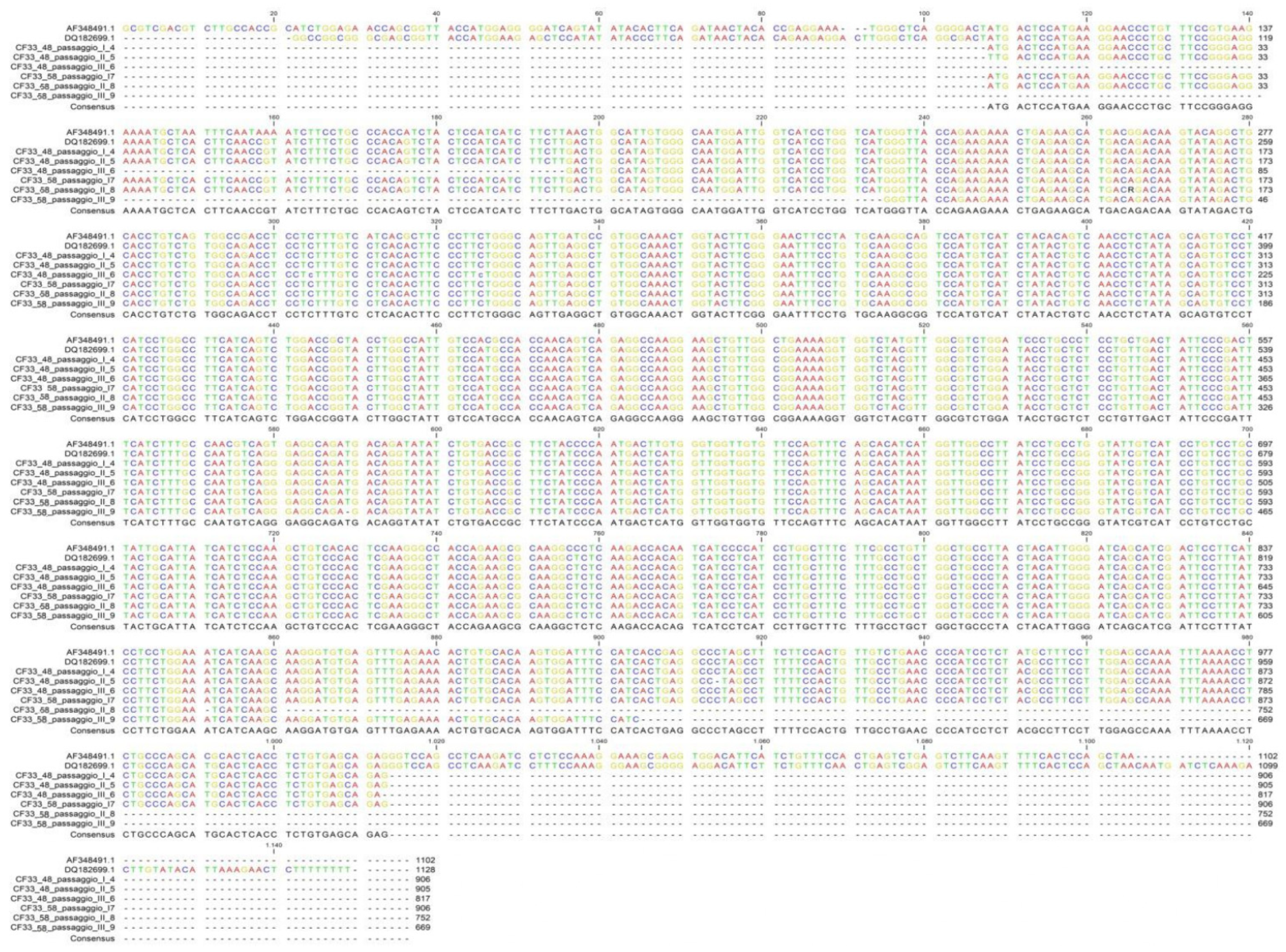 Vetsci 09 00543 g005 Vetsci 09 00543 g005