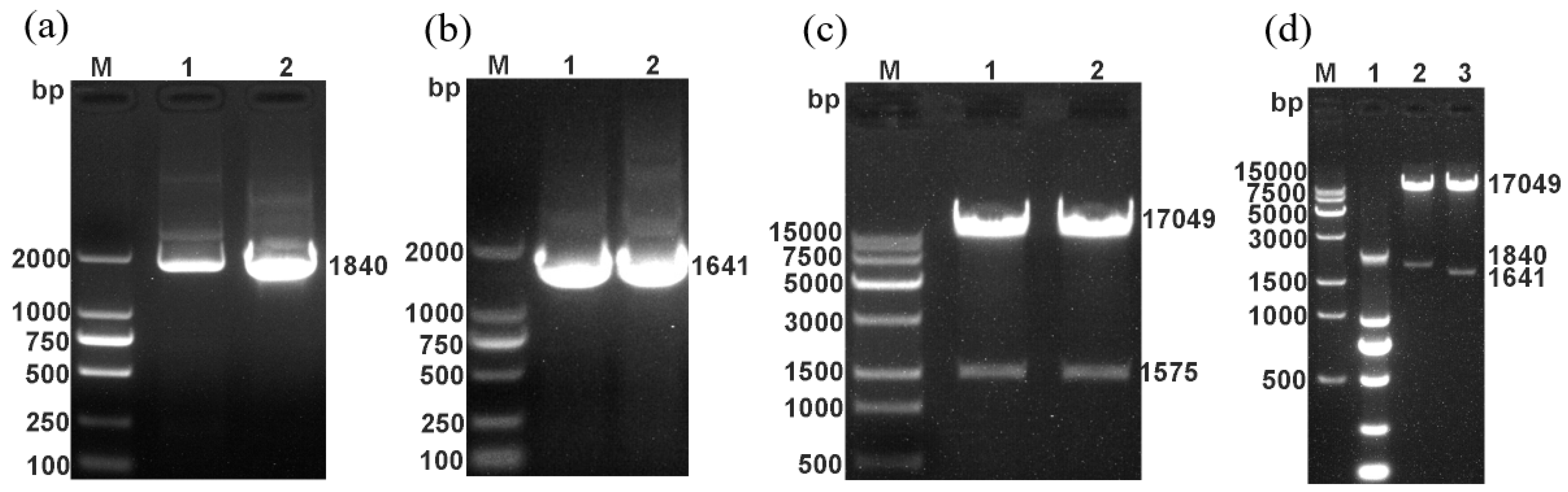Vetsci 09 00555 g001 Vetsci 09 00555 g001