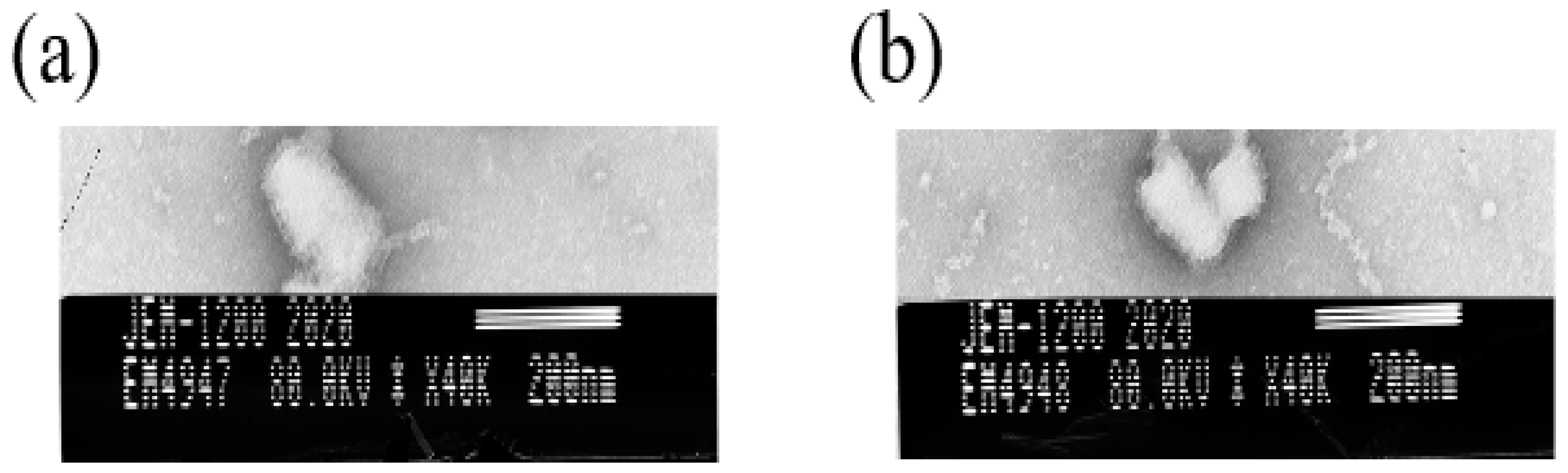 Vetsci 09 00555 g005 Vetsci 09 00555 g005