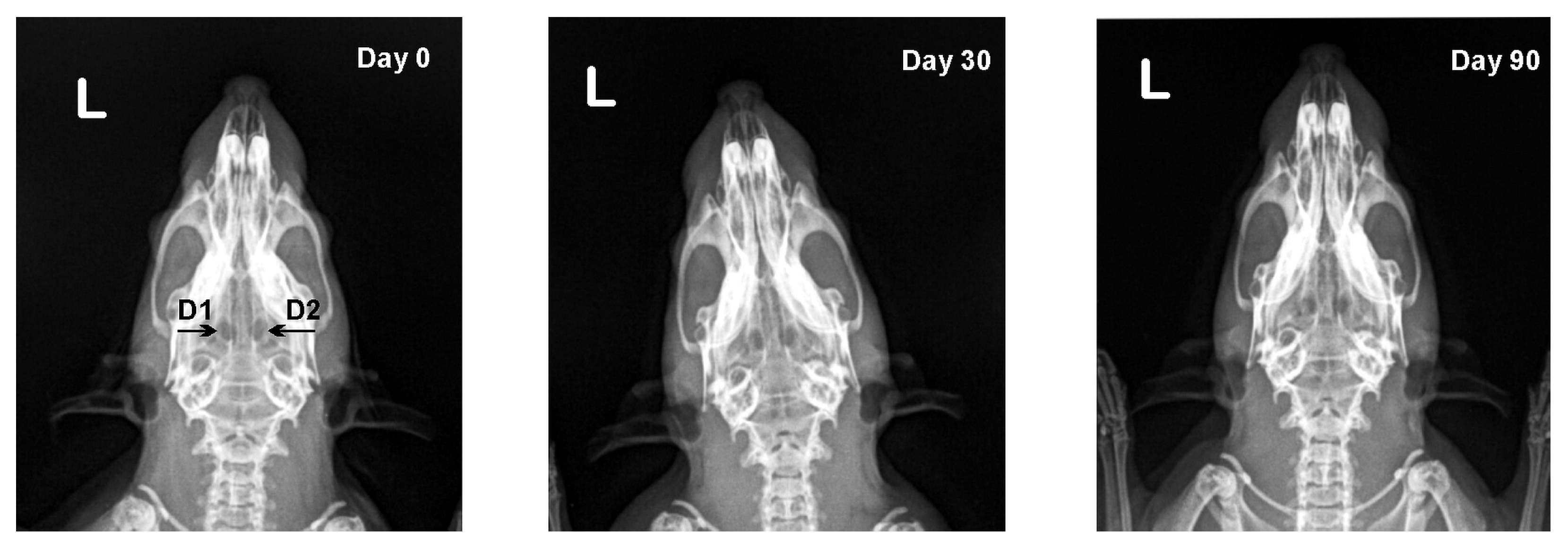 Vetsci 09 00578 g002 Vetsci 09 00578 g002