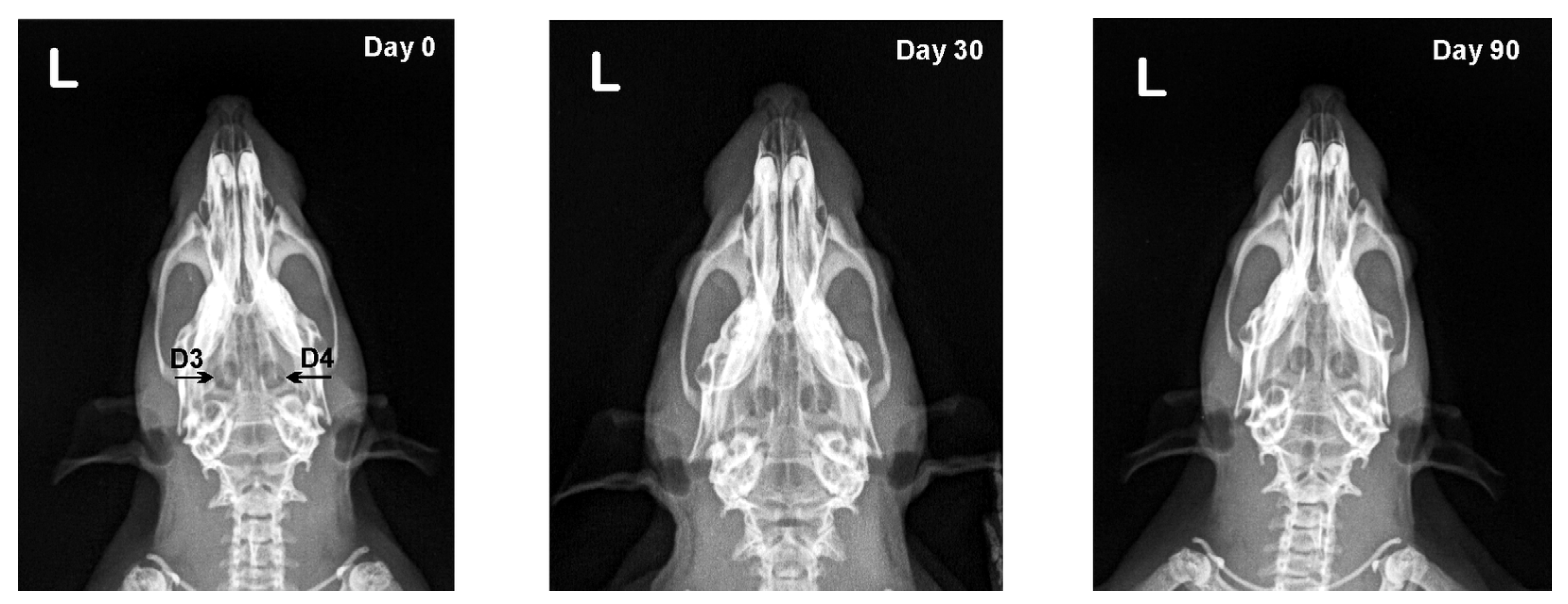 Vetsci 09 00578 g003 Vetsci 09 00578 g003