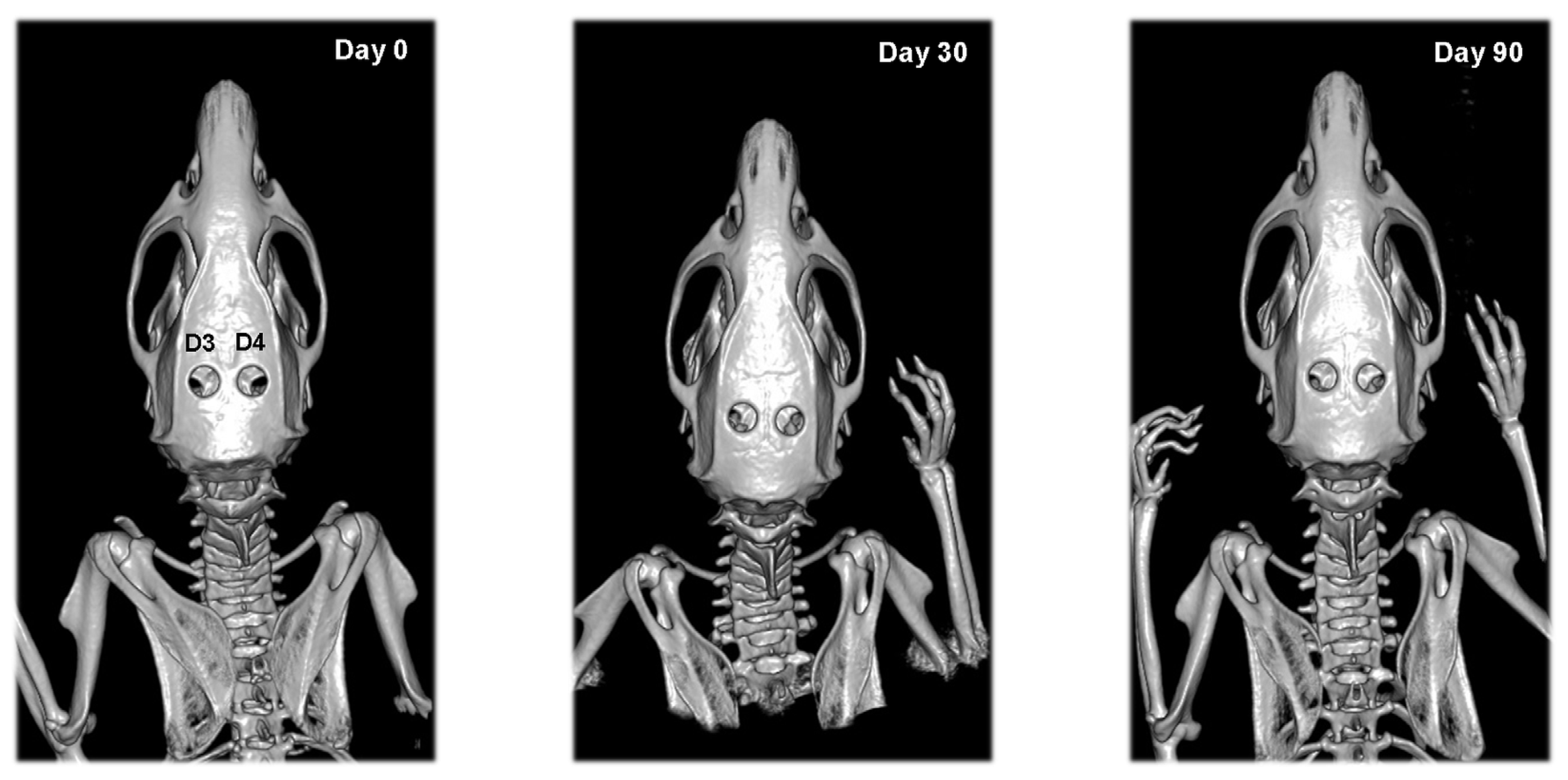 Vetsci 09 00578 g005 Vetsci 09 00578 g005