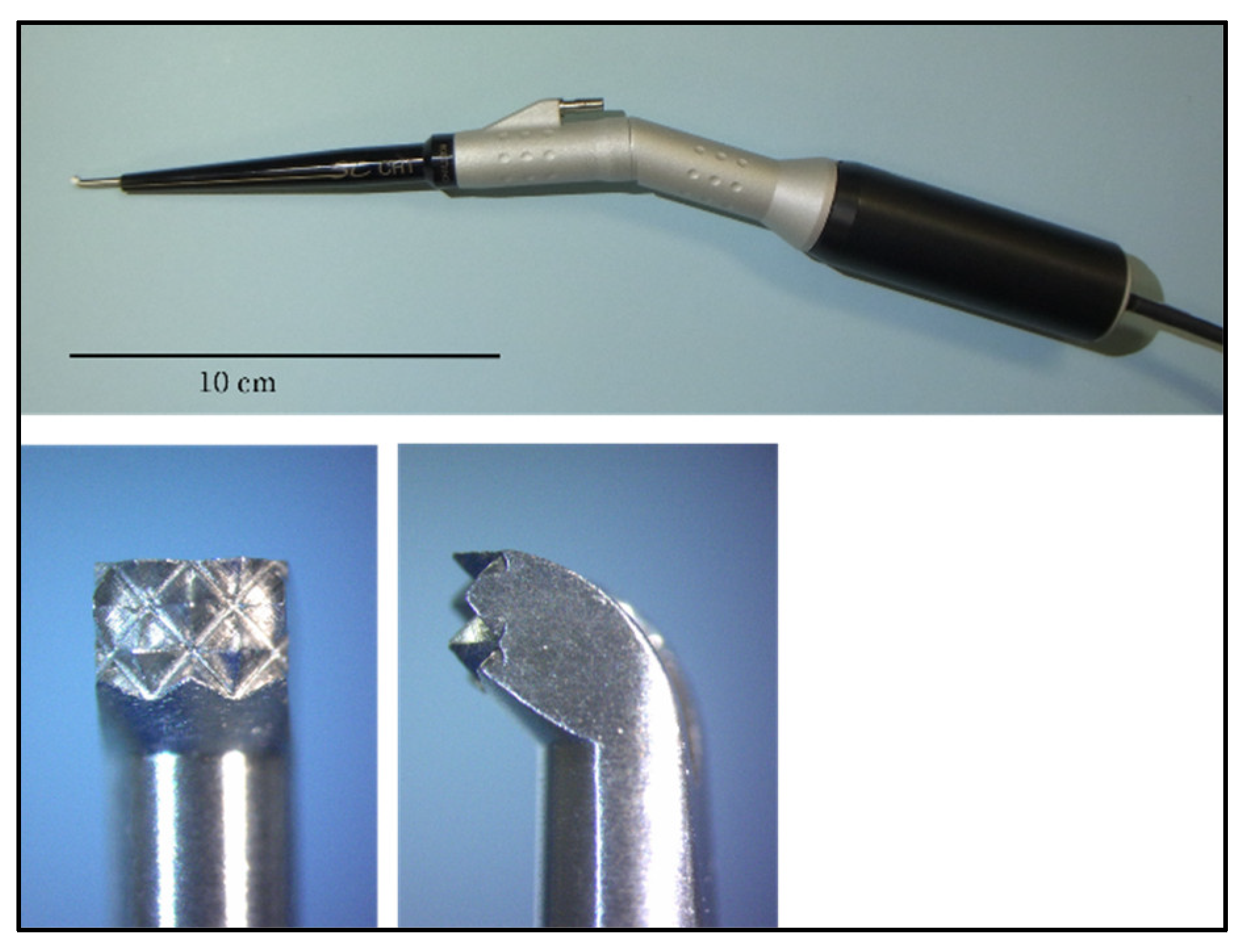 Veterinary Sciences | Free Full-Text | Dural Changes Induced by an Ultrasonic  Bone Curette in an Excised Porcine Spinal Cord