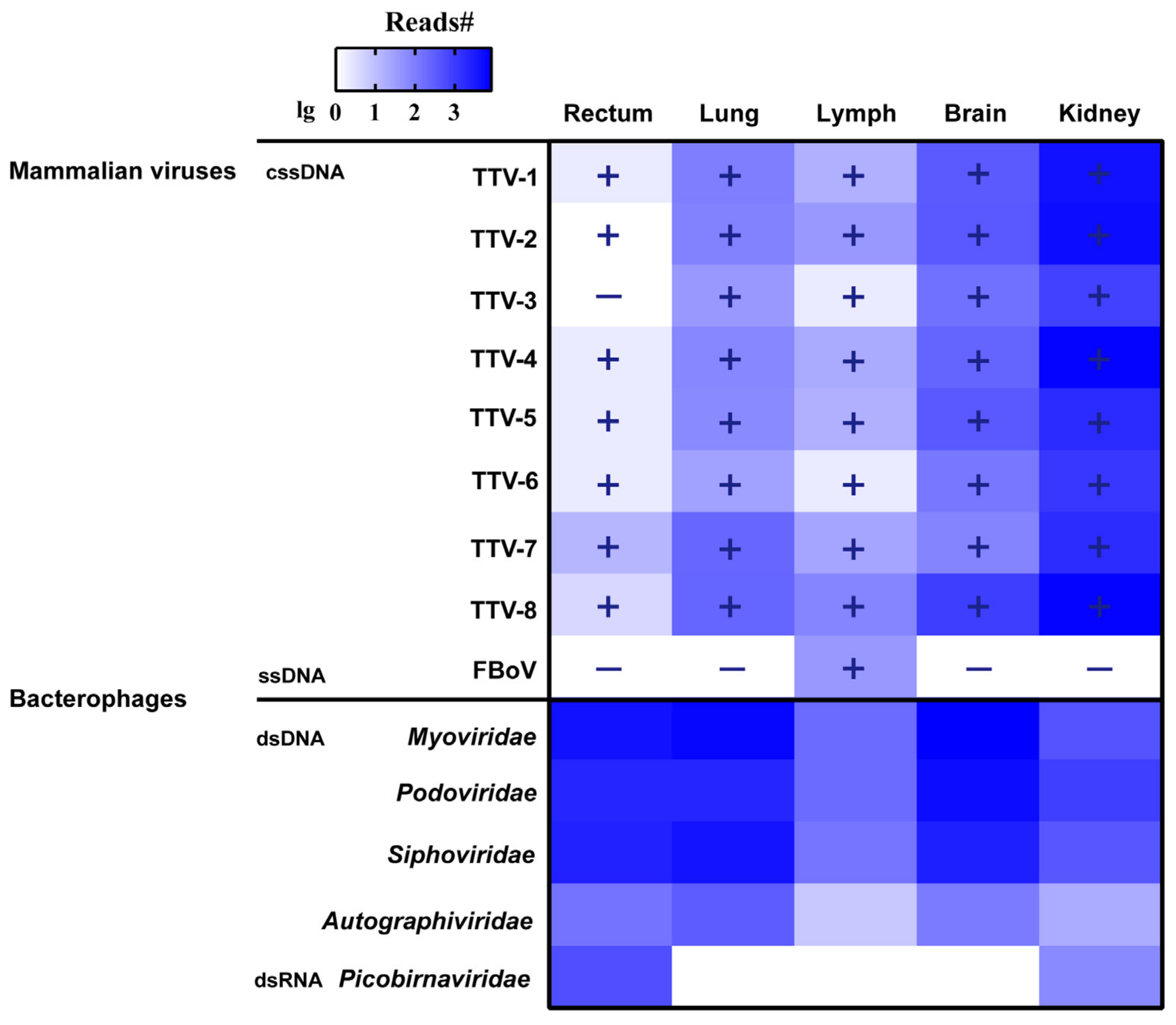Vetsci 09 00640 g001 Vetsci 09 00640 g001