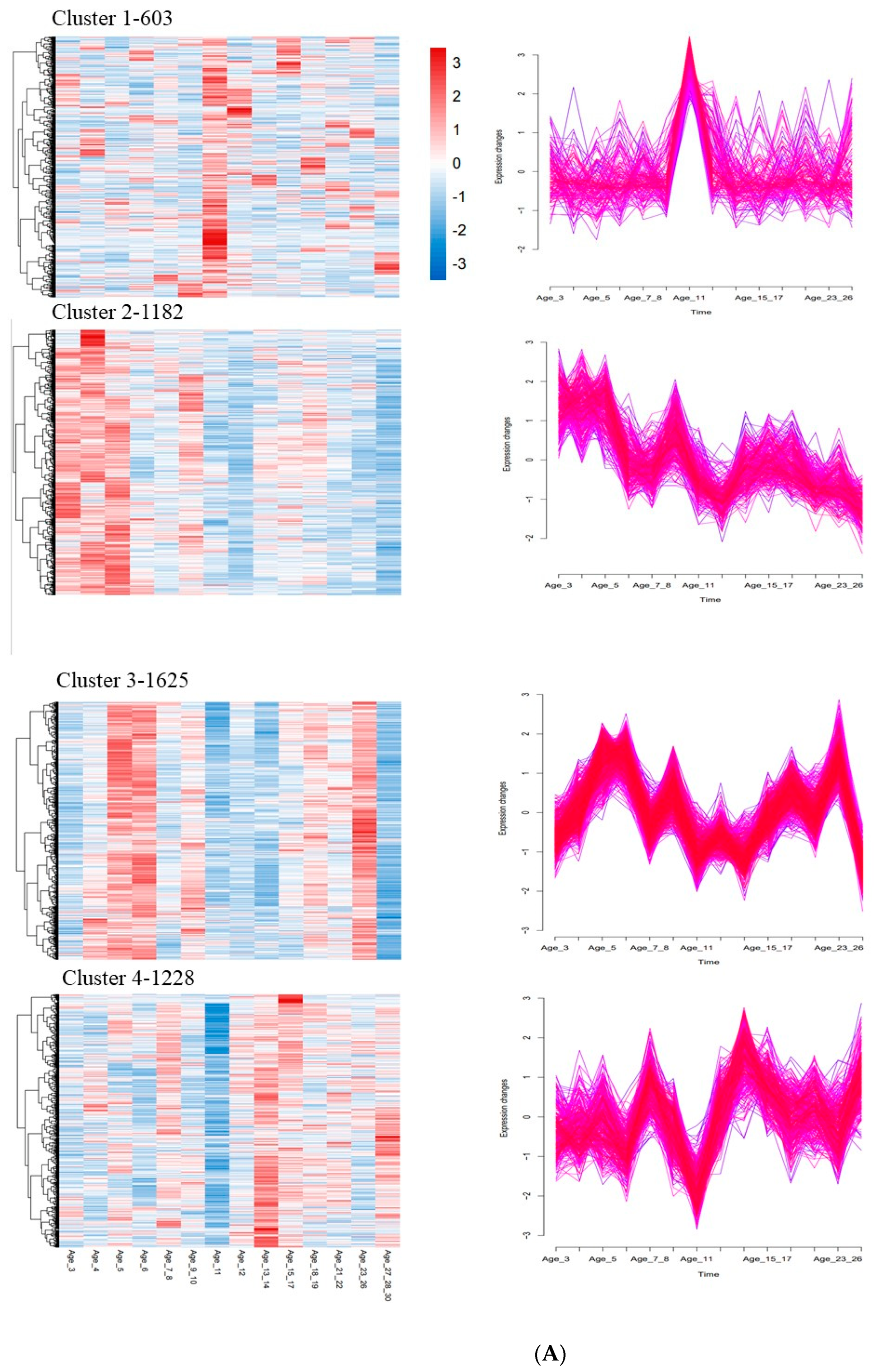 Vetsci 09 00667 g004a Vetsci 09 00667 g004a
