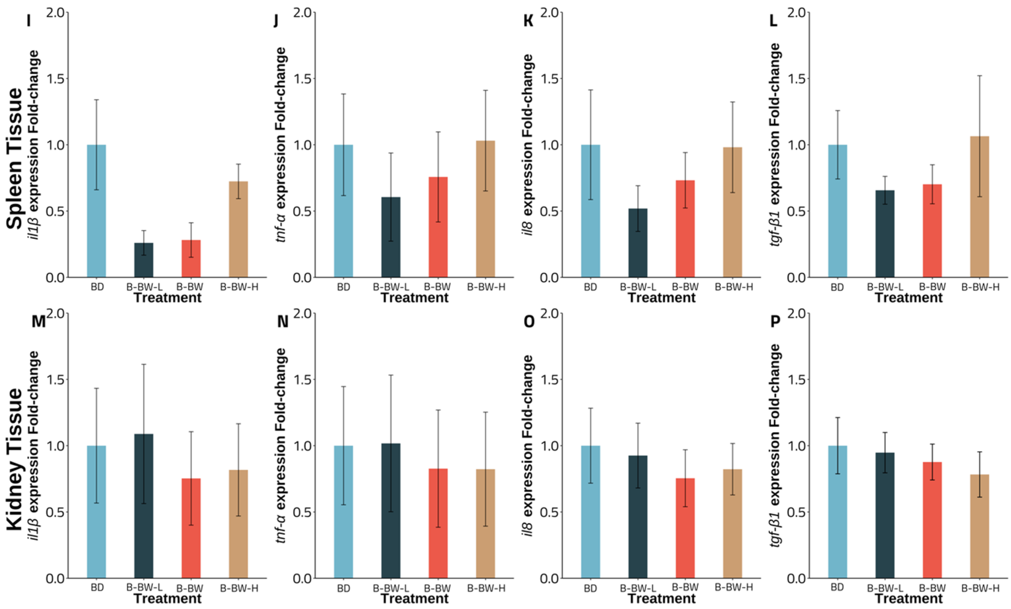 Vetsci 09 00701 g002 Vetsci 09 00701 g002