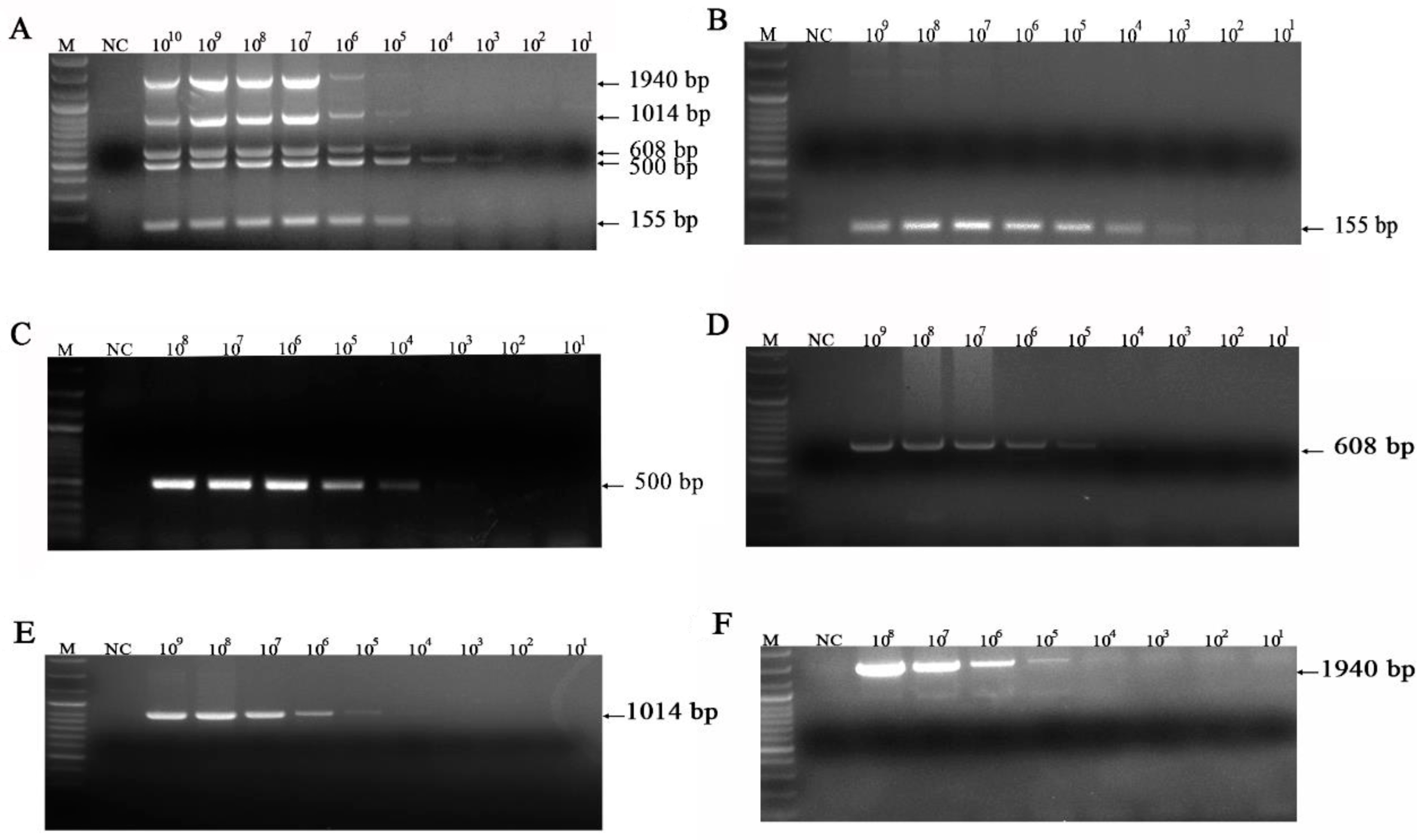 Vetsci 10 00014 g004