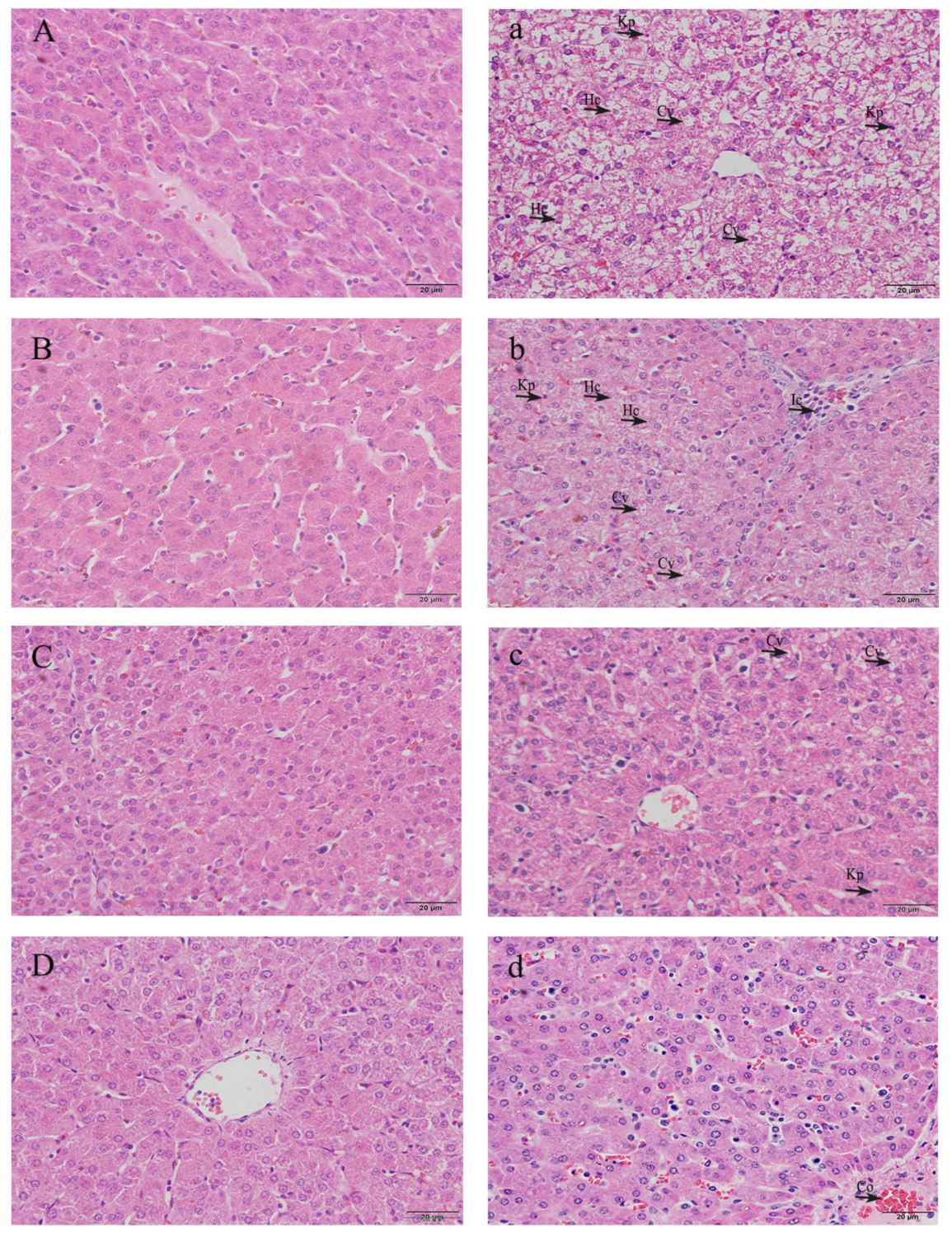 Vetsci 10 00022 g002