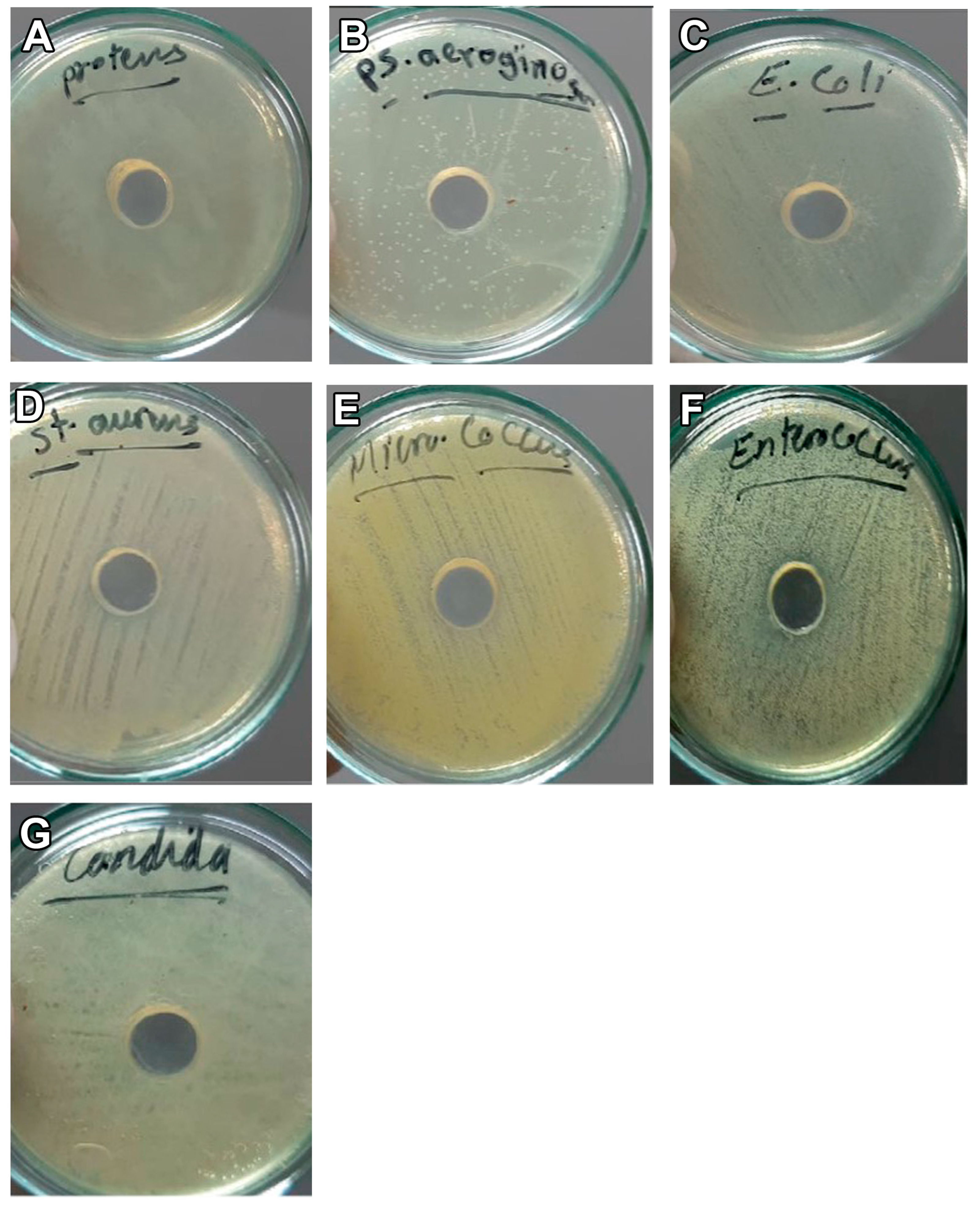 Vetsci 10 00124 g003 Vetsci 10 00124 g003