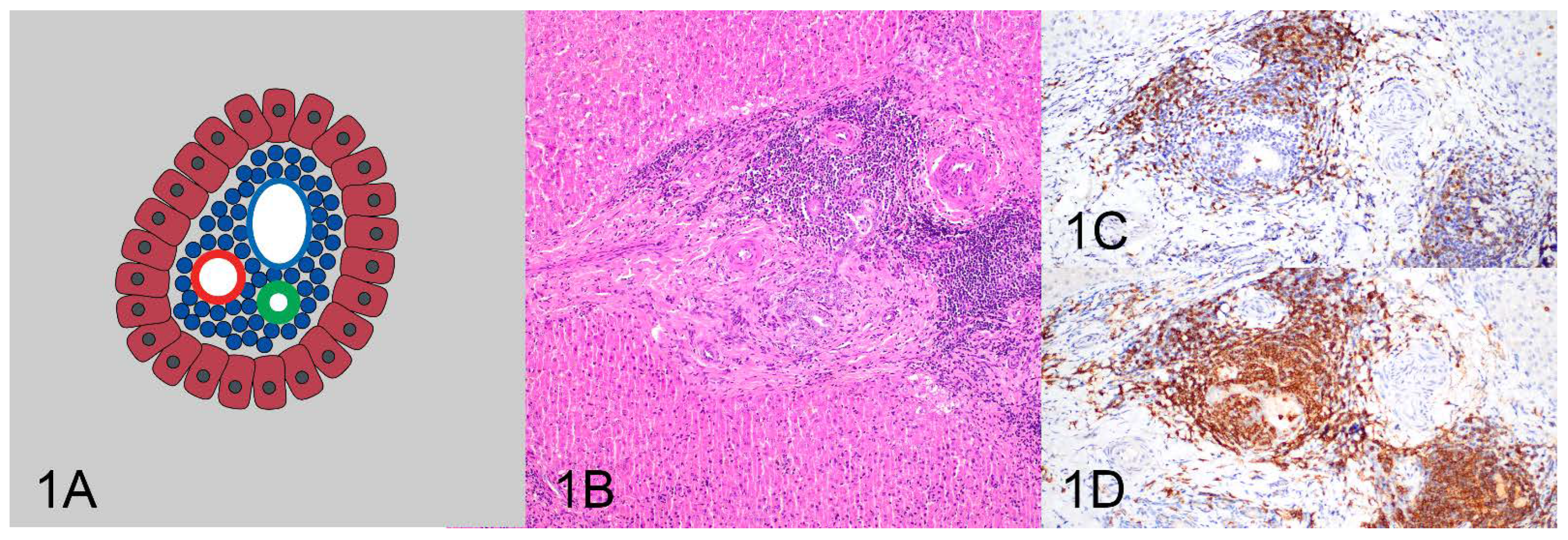 Vetsci 10 00127 g001