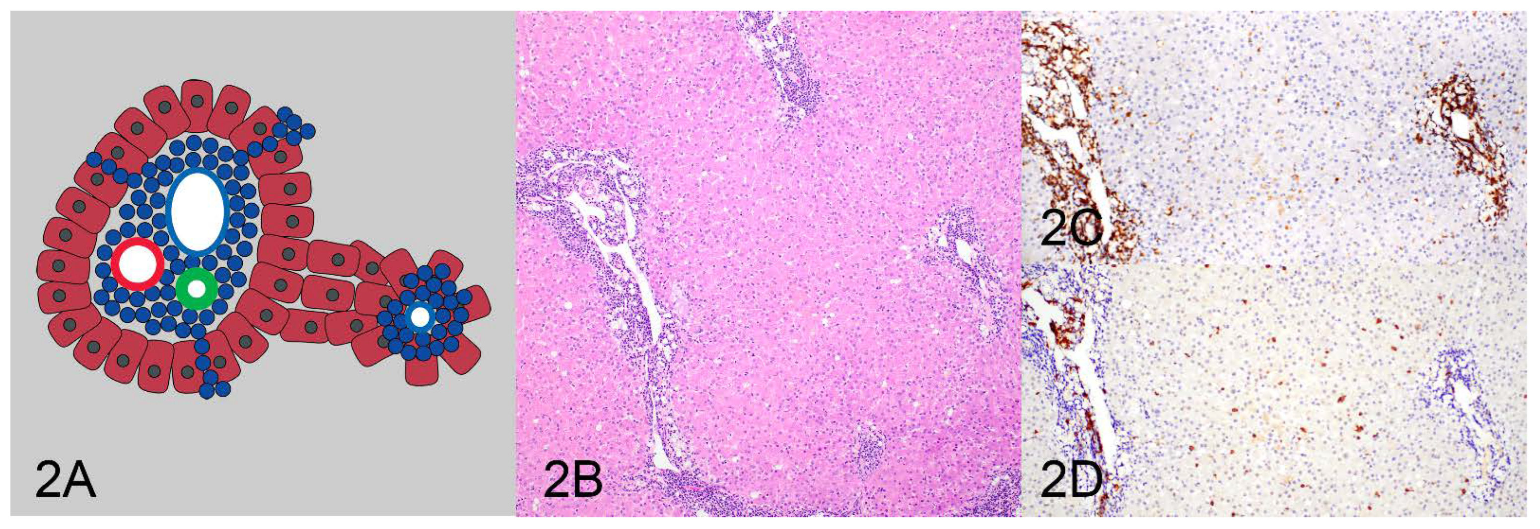 Vetsci 10 00127 g002