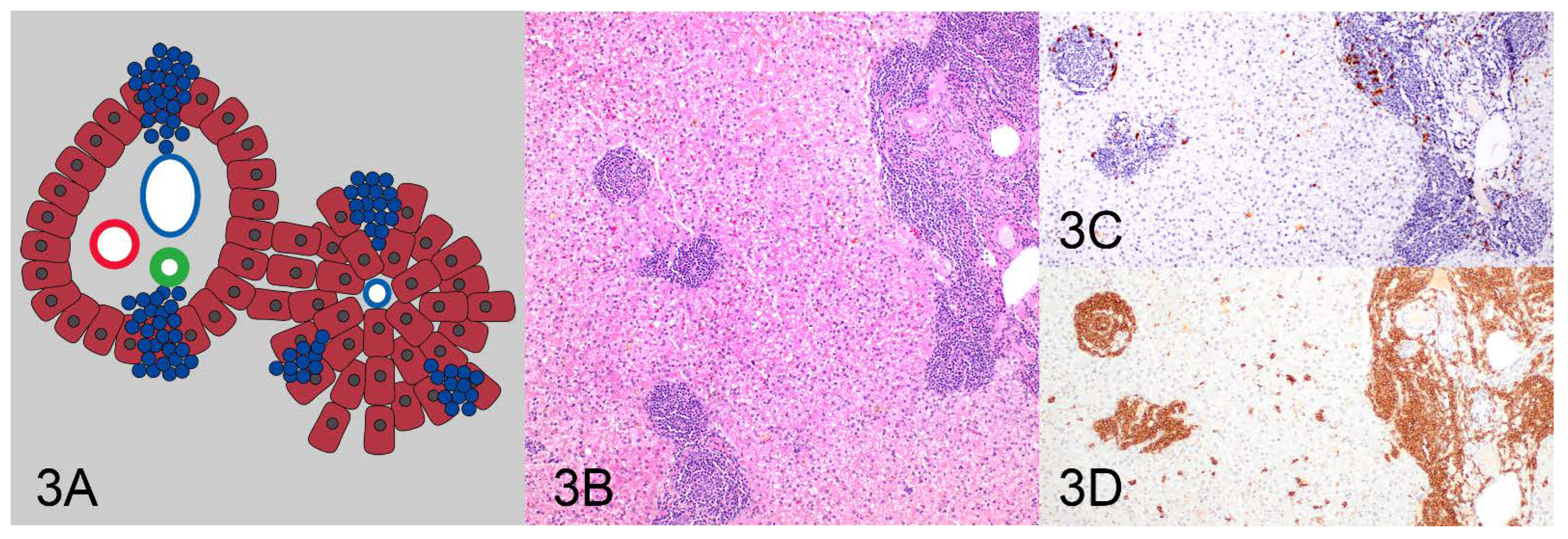 Vetsci 10 00127 g003