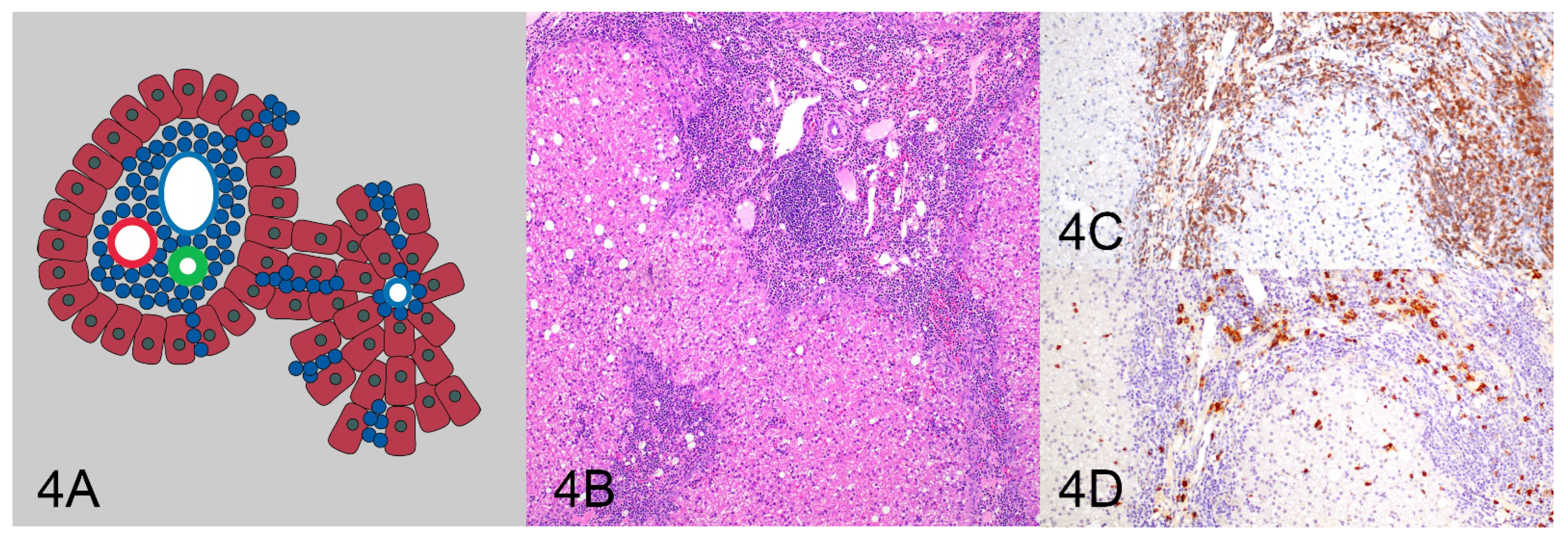 Vetsci 10 00127 g004