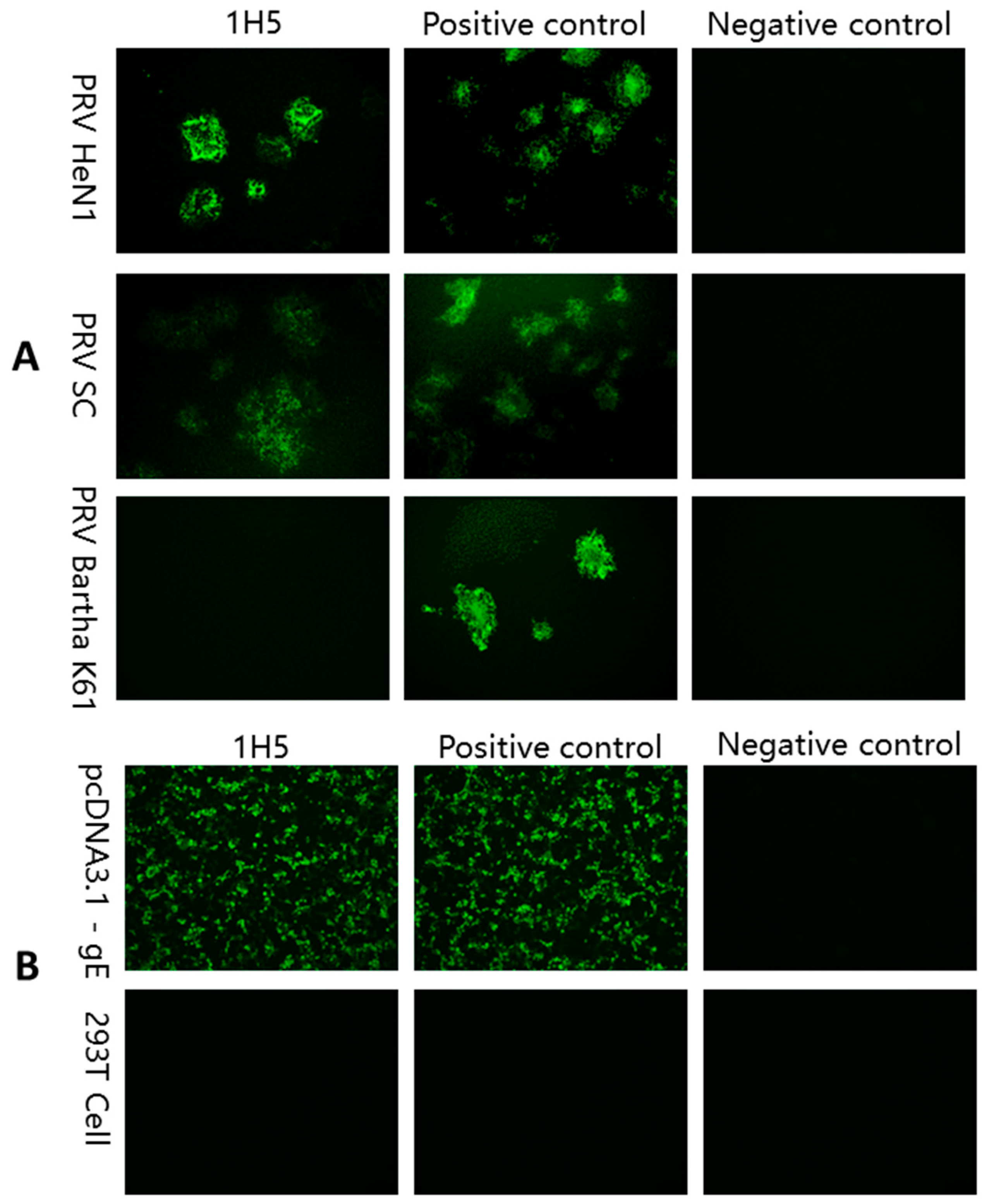 Vetsci 10 00133 g003