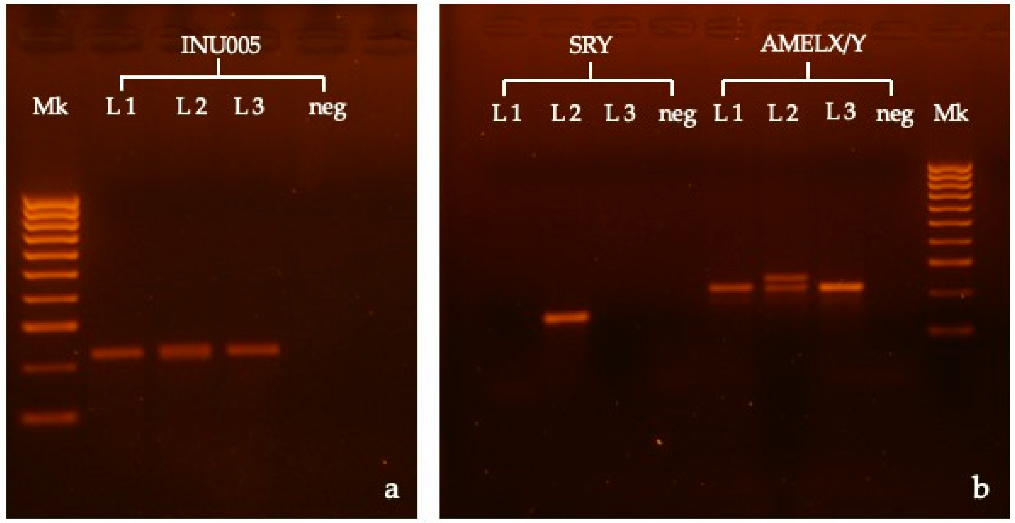 Vetsci 10 00251 g003 Vetsci 10 00251 g003