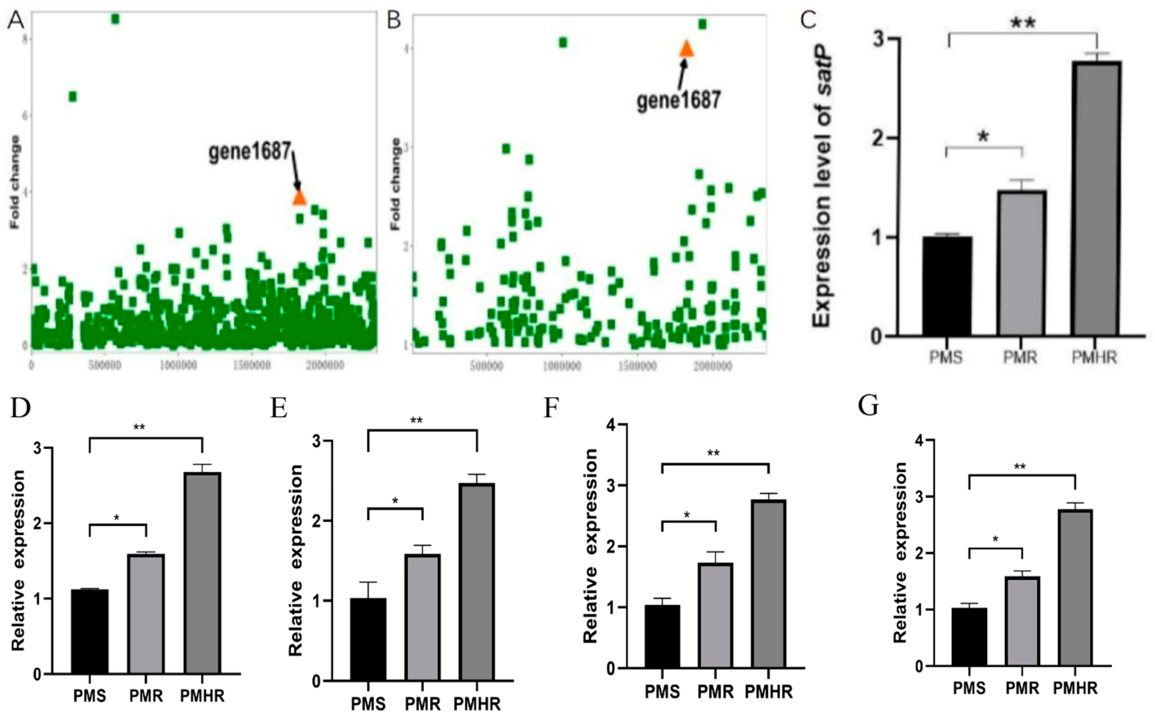 Veterinary Sciences | Free Full-Text | Transcriptomic Changes and