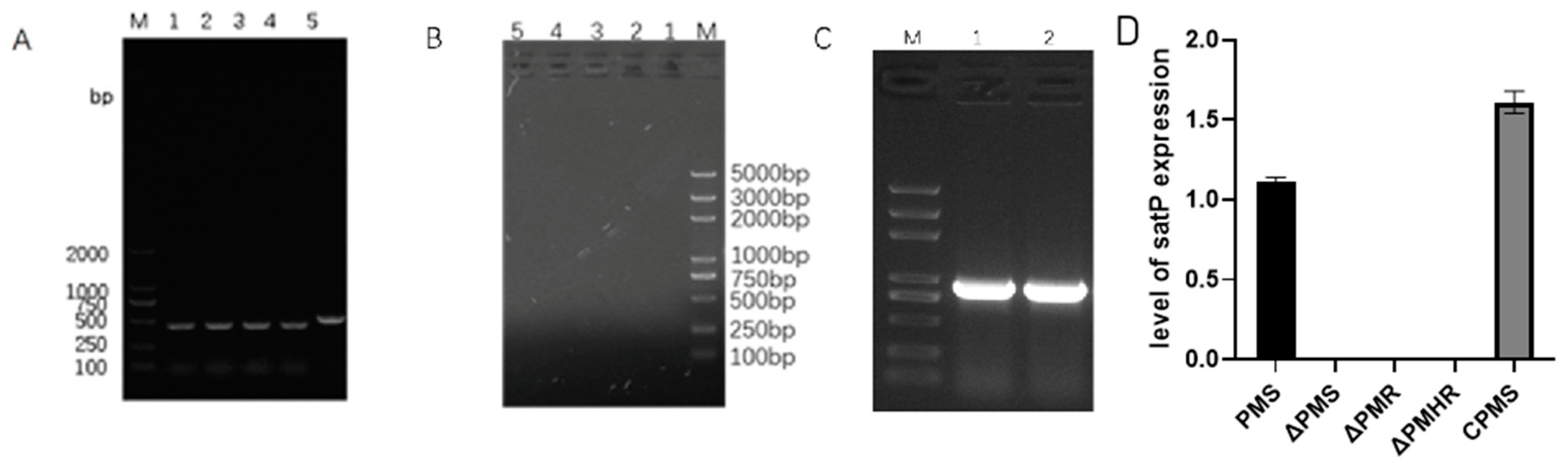 Vetsci 10 00257 g002 Vetsci 10 00257 g002